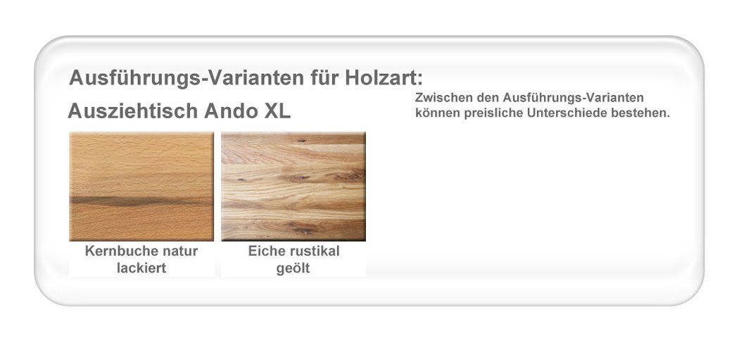 Tisch Ando 12 XL XL, expendio 4x Eiche Tischgruppe, Malou Gray Ando + Essgruppe (komplette Spar-Set, Elisa Cloud Sessel rustikal 5-tlg),