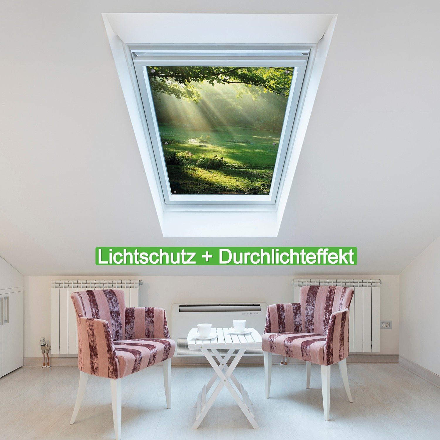 Wallario Sonnenschutz Sonnenstrahlen im Wald, blickdicht, günstig online kaufen