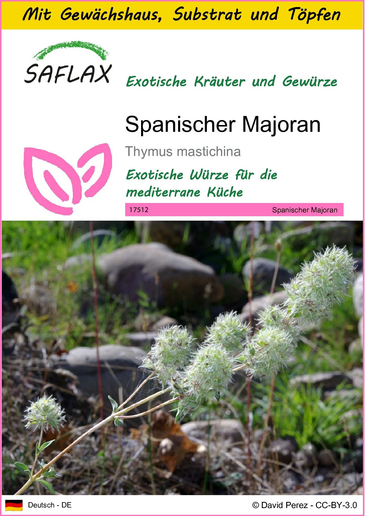 SAFLAX Kräutersamen SAFLAX - Anzuchtset - Spanischer Majoran