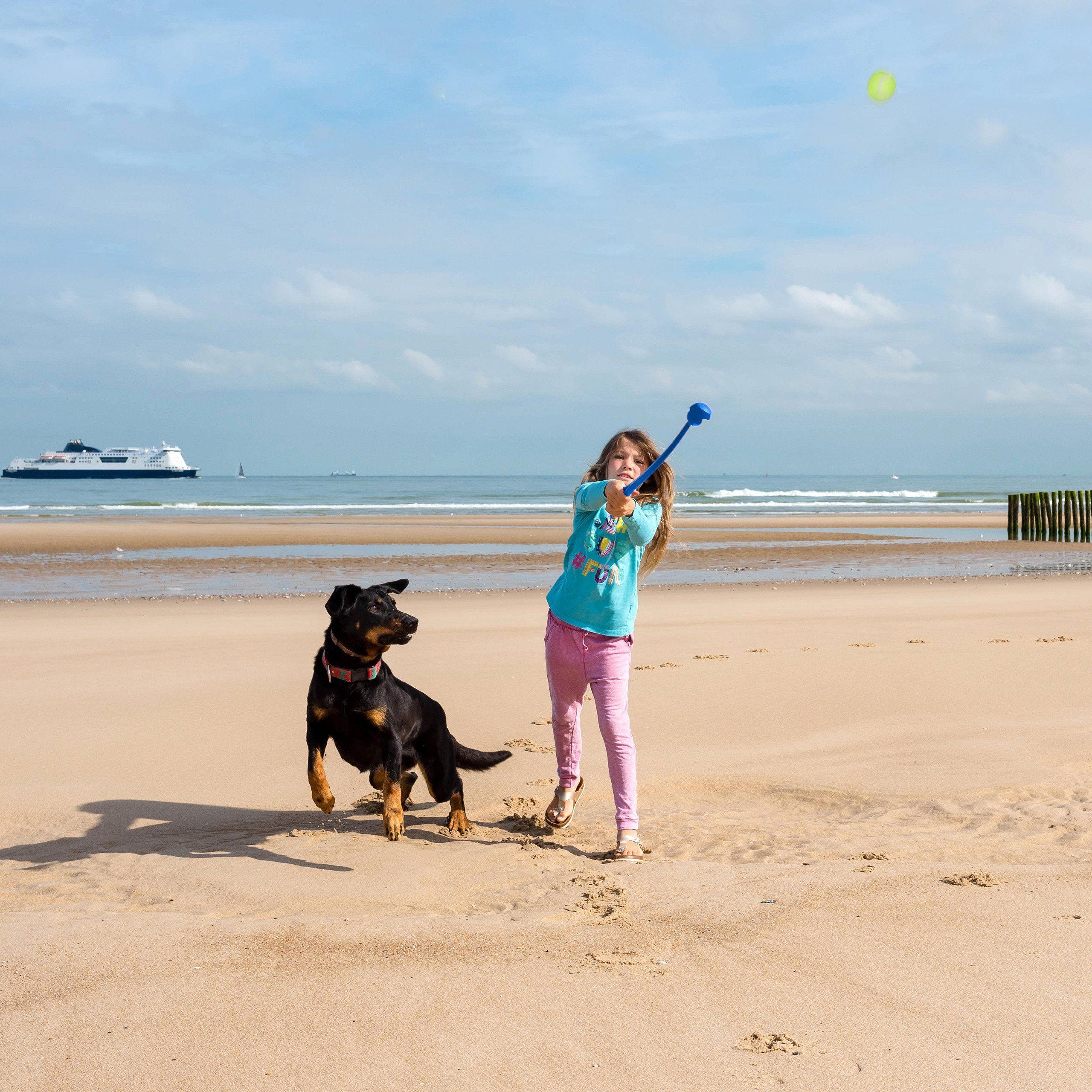 relaxdays Hunde-Ballschleuder 8 x Ballschleuder für Hunde