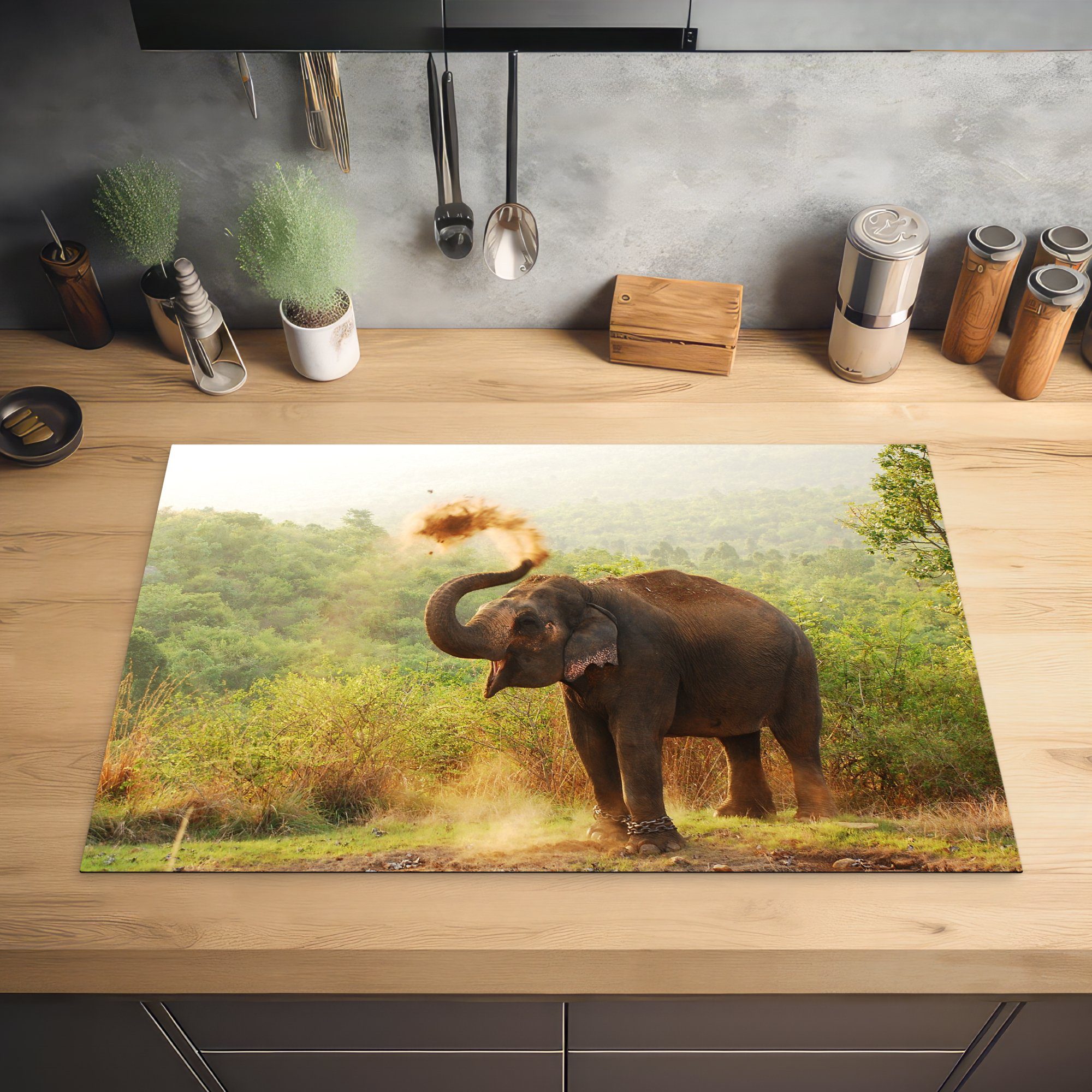 die Schutz Wald küche, 81x52 MuchoWow Vinyl, cm, Tiere Herdblende-/Abdeckplatte - Induktionskochfeld Bäume, tlg), - Elefant - (1 für Ceranfeldabdeckung