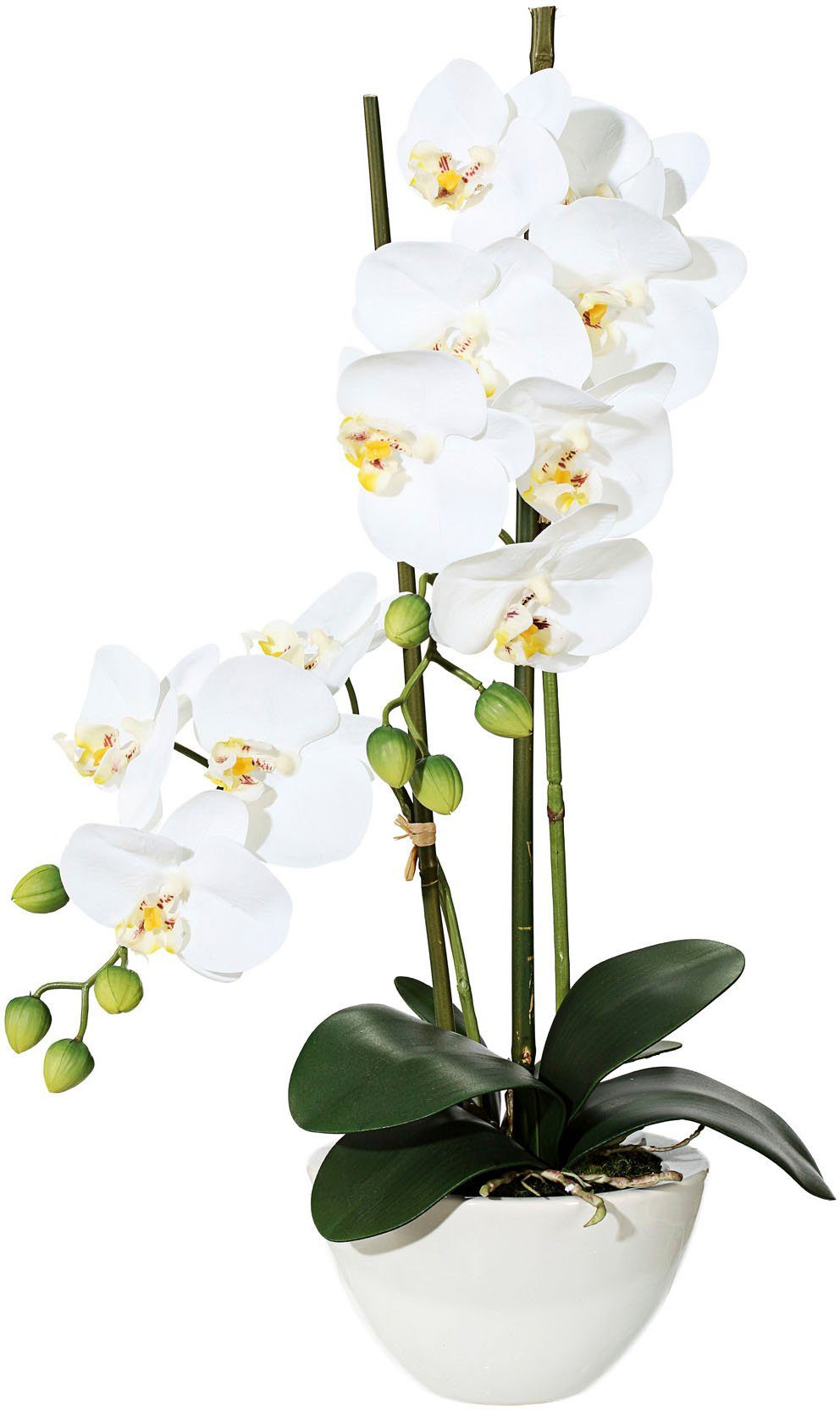 Kunstpflanze Orchidee Orchidee, Creativ green weiß