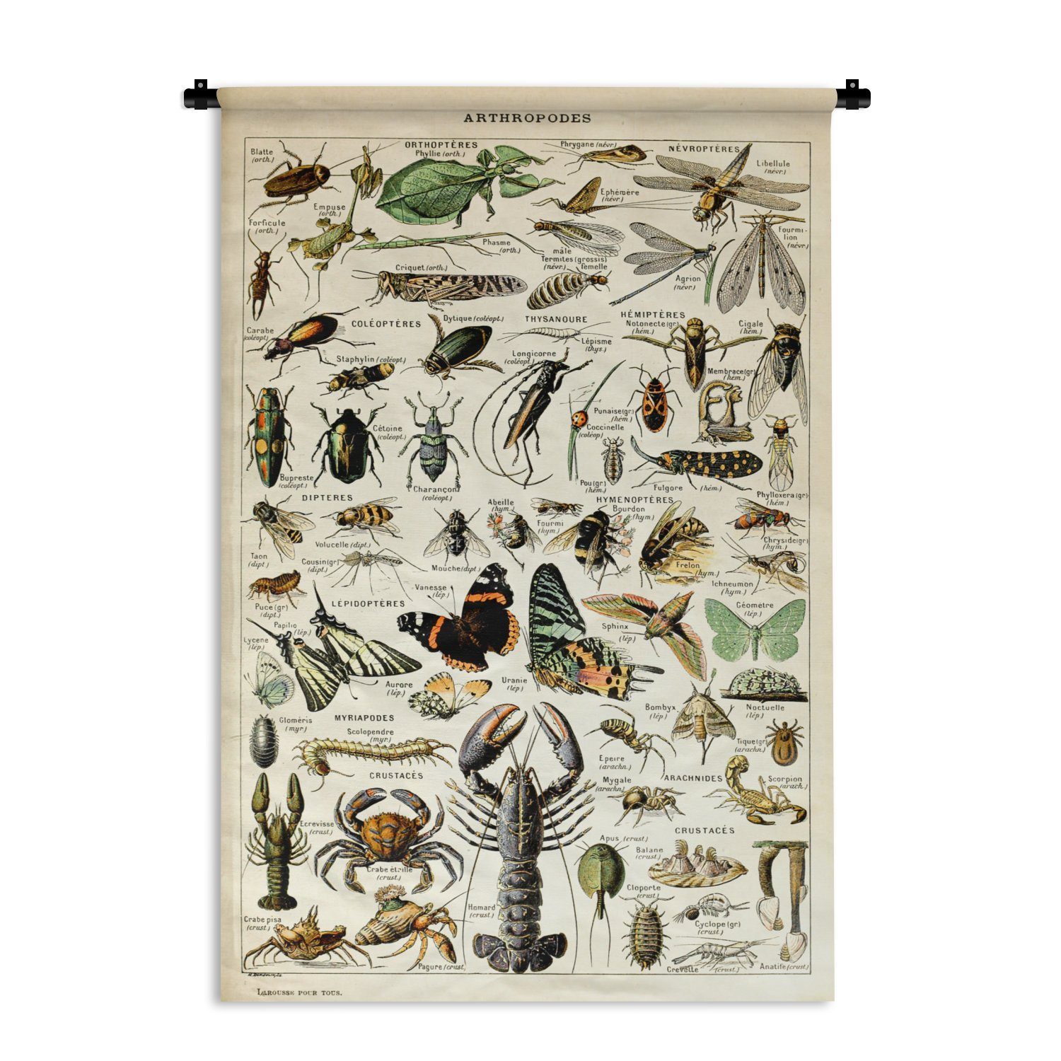 MuchoWow Wanddekoobjekt Tiere - Adolphe Millot - Vintage - Insekten - Kunst, Wanddeko für Wohnzimmer, Schlafzimmer, Kleid, Wandbehang, Kinderzimmer