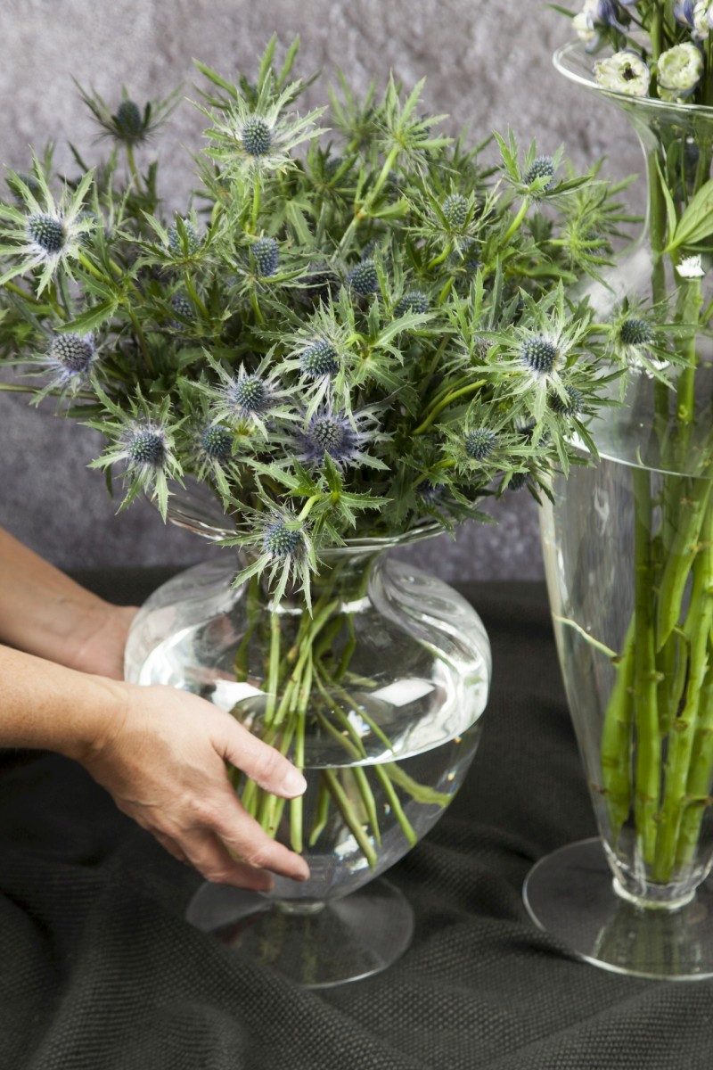 Hakbijl Glass Dekovase Liam, Hot Cut günstig online kaufen