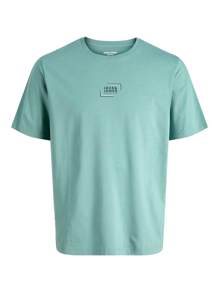 T-Shirt JJCORP GRAPHIC TEE SS O-NECK LN