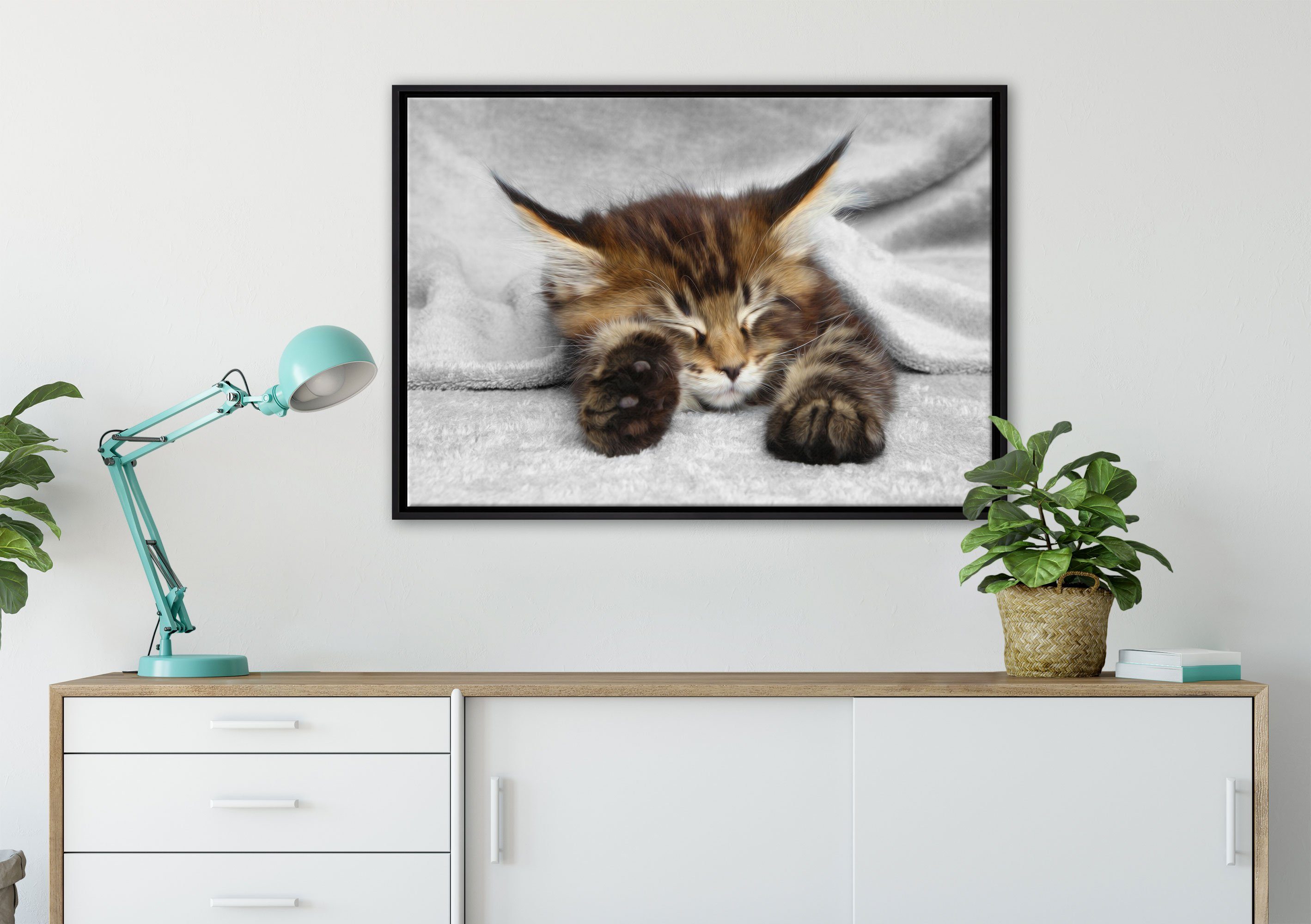 Schattenfugen-Bilderrahmen Pixxprint (1 Leinwandbild großen fertig Katze mit bespannt, inkl. Zackenaufhänger Wanddekoration in schlafende Leinwandbild Ohren, St), gefasst, einem