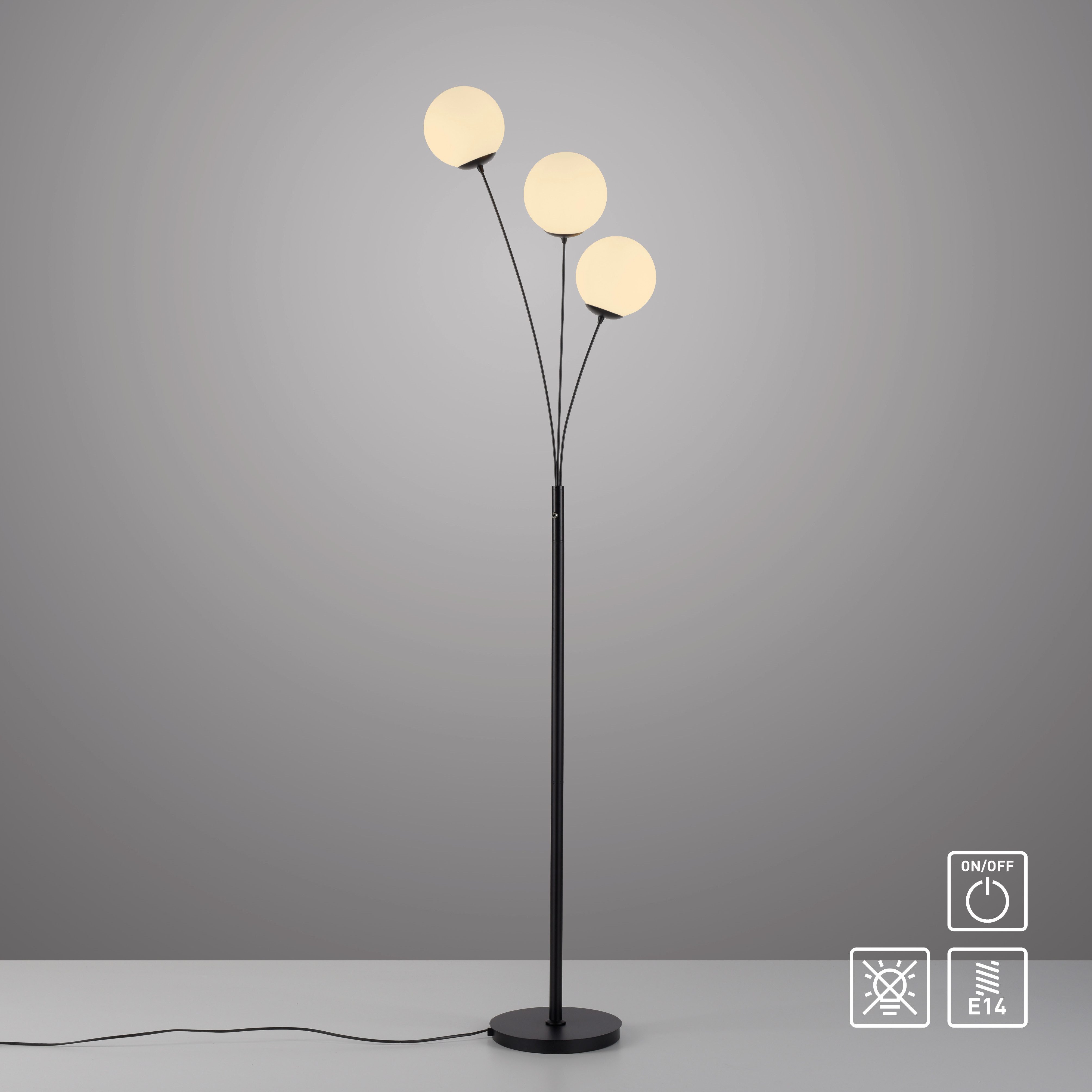 my home Stehlampe Nymölla, ohne Leuchtmittel, Stehleuchte mit großen Glasku günstig online kaufen