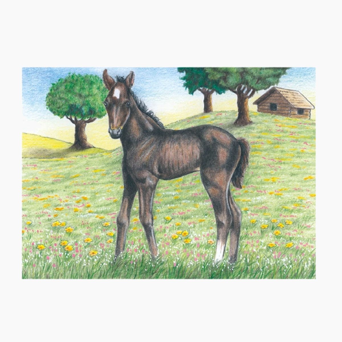 goki Würfelpuzzle Würfelpuzzle Bauernhoftiere, 9 Puzzleteile, günstig online kaufen