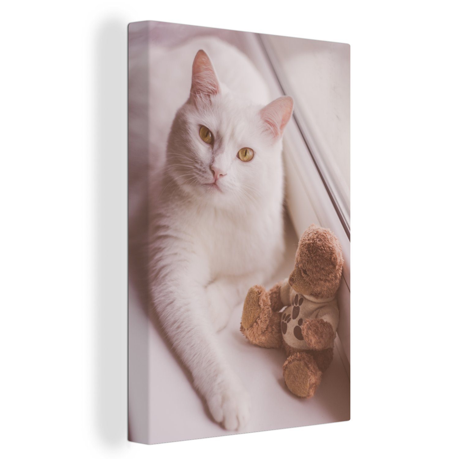 OneMillionCanvasses® Leinwandbild Weiße Katze neben einem Teddybär liegend, (1 St), Leinwandbild fertig bespannt inkl. Zackenaufhänger, Gemälde, 20x30 cm