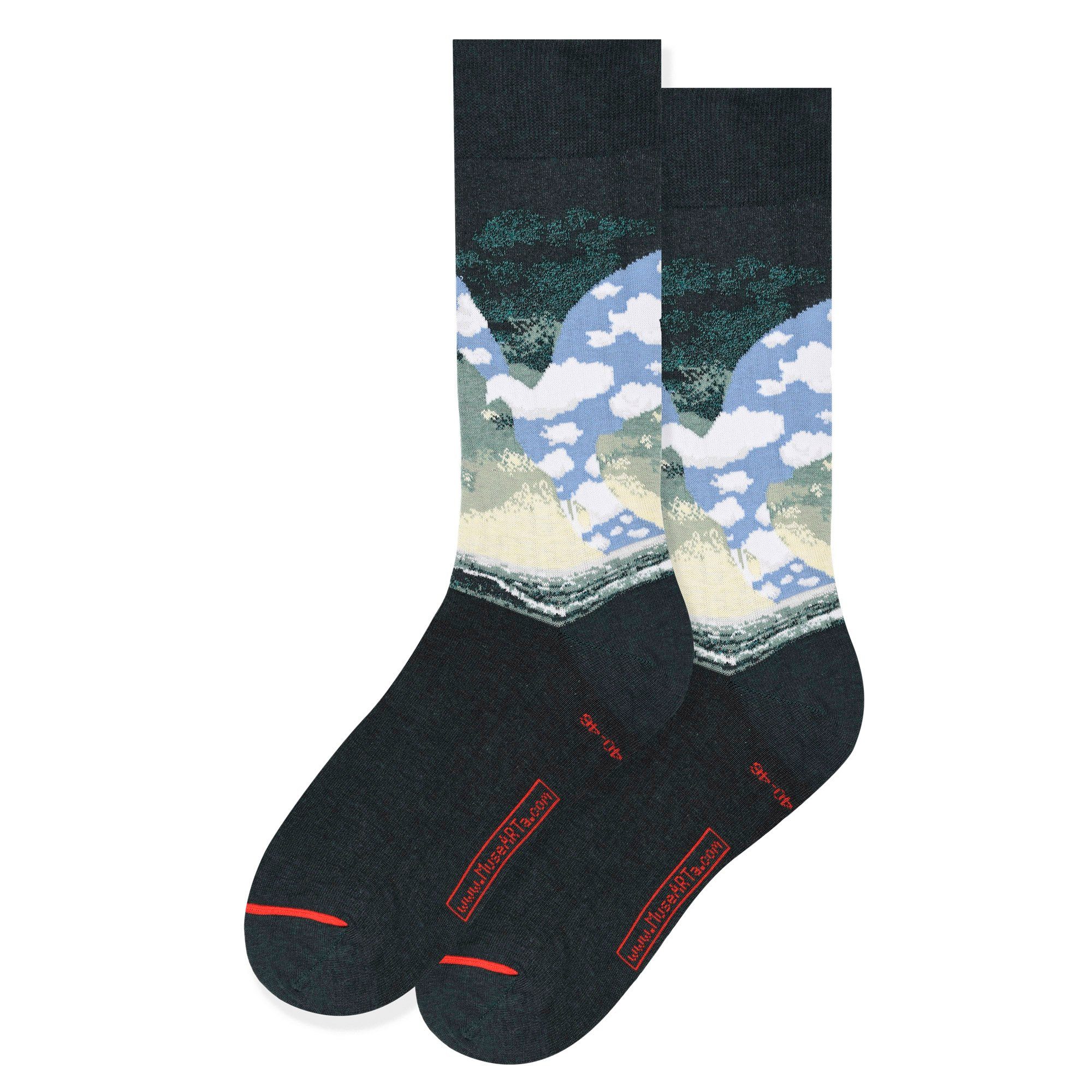 MuseARTa Langsocken René Magritte - Die große Familie (Packung, 1-Paar, 1  Paar) Kunstwerke Socken Strümpfe, Herren oder Damen Socken Kunst-Motiv