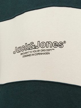 Jack & Jones Junior Hoodie JORLAKEWOOD BLOCK SWEAT H