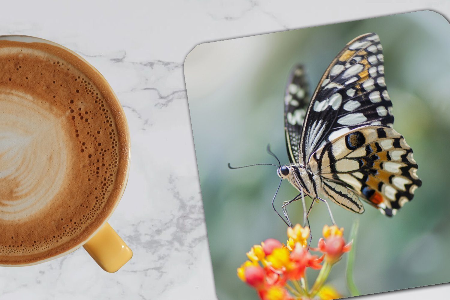 MuchoWow Glasuntersetzer Seiten Schmetterling auf für Zubehör Tasse Gläser, Korkuntersetzer, Tischuntersetzer, 6-tlg., Untersetzer, Blume, Glasuntersetzer
