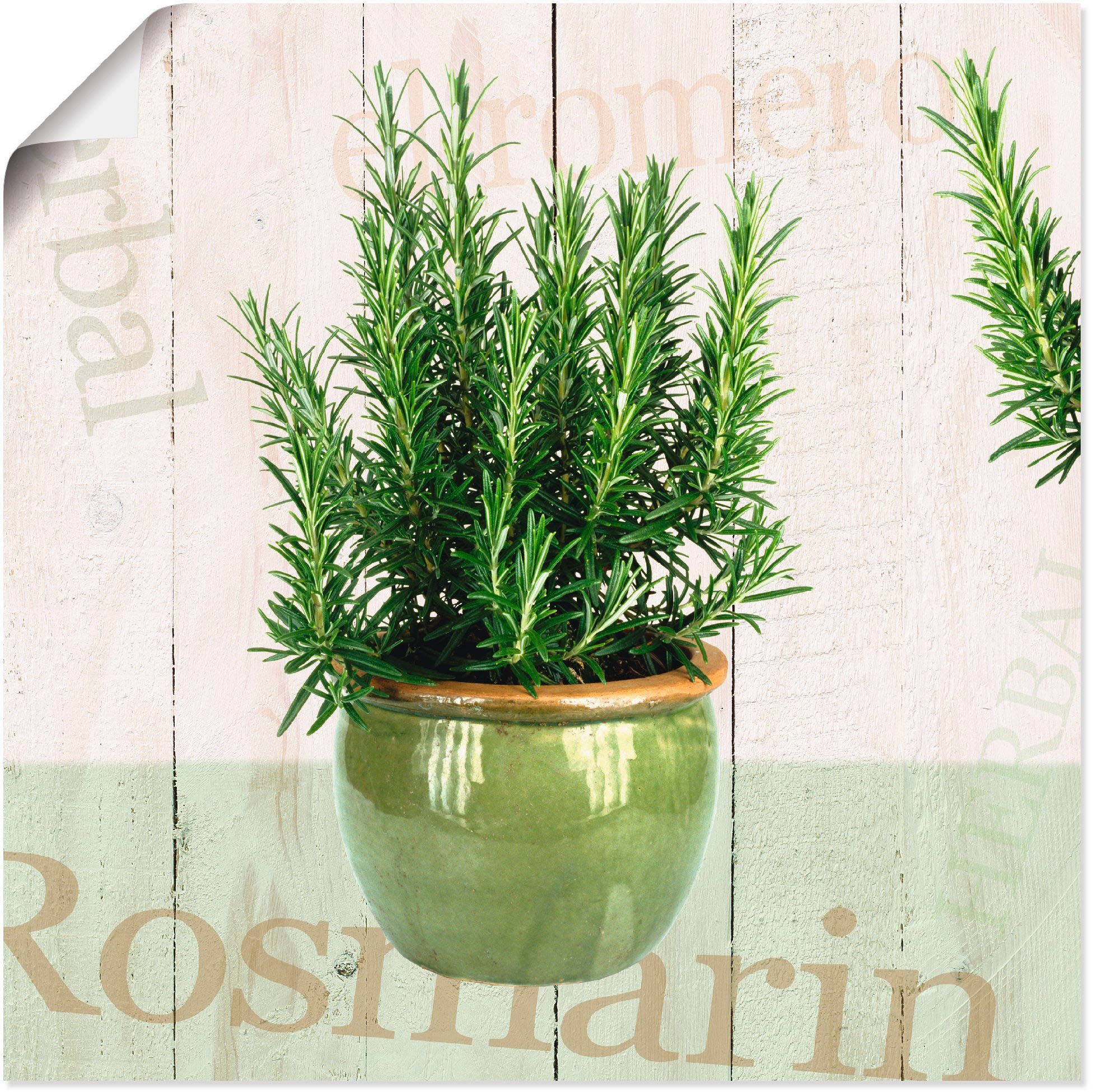Artland Wandbild Rosmarin, Pflanzen (1 St), als Alubild, Leinwandbild, Wandaufkleber oder Poster in versch. Größen