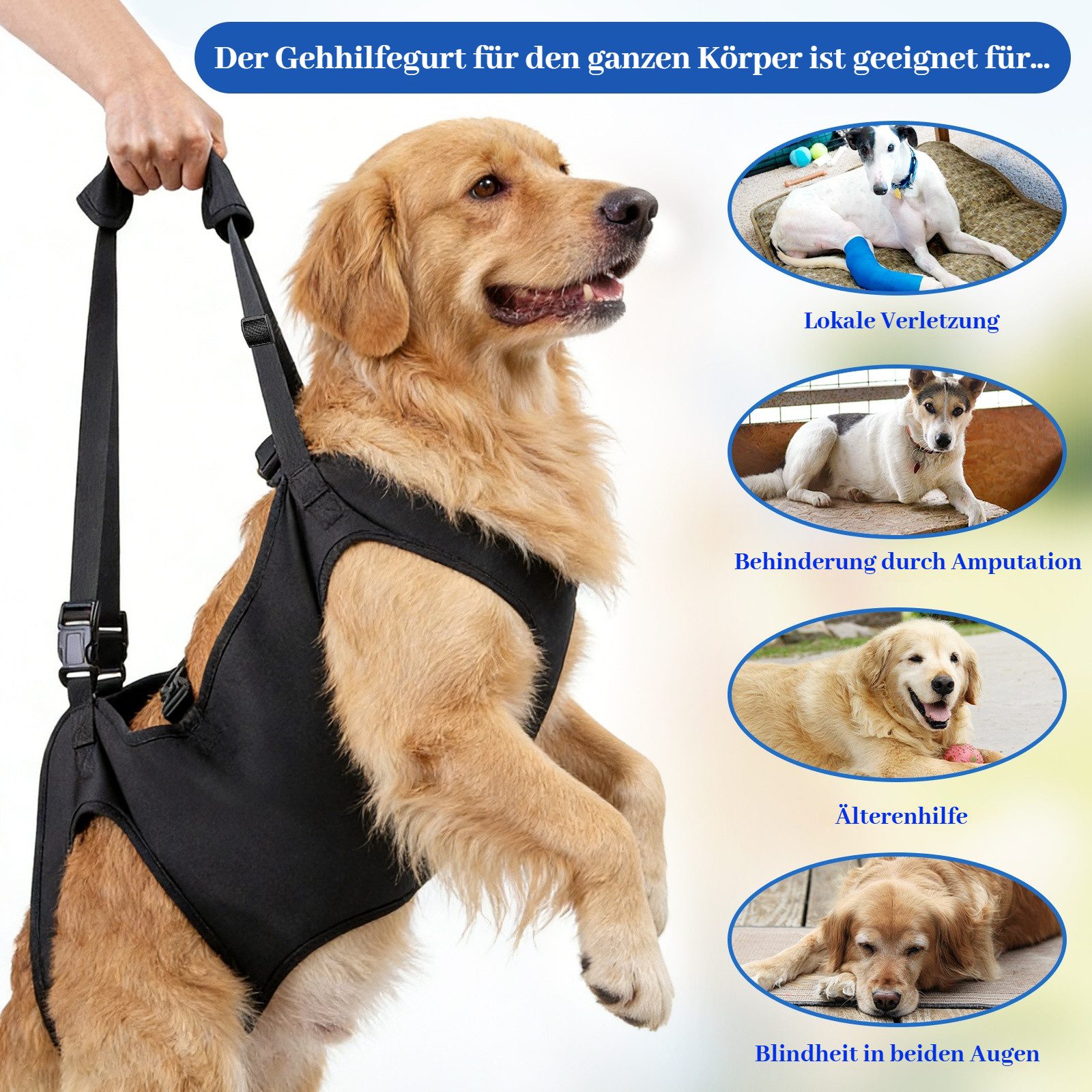 BlingBin Hunde-Geschirr Hundegeschirr, Rückenstütze, weiche Stützleine für Hinterbeine, Oxford-Stoff + Polyester, Hüftstütze, Sicherheitshalterung für verletzte/ältere Hunde