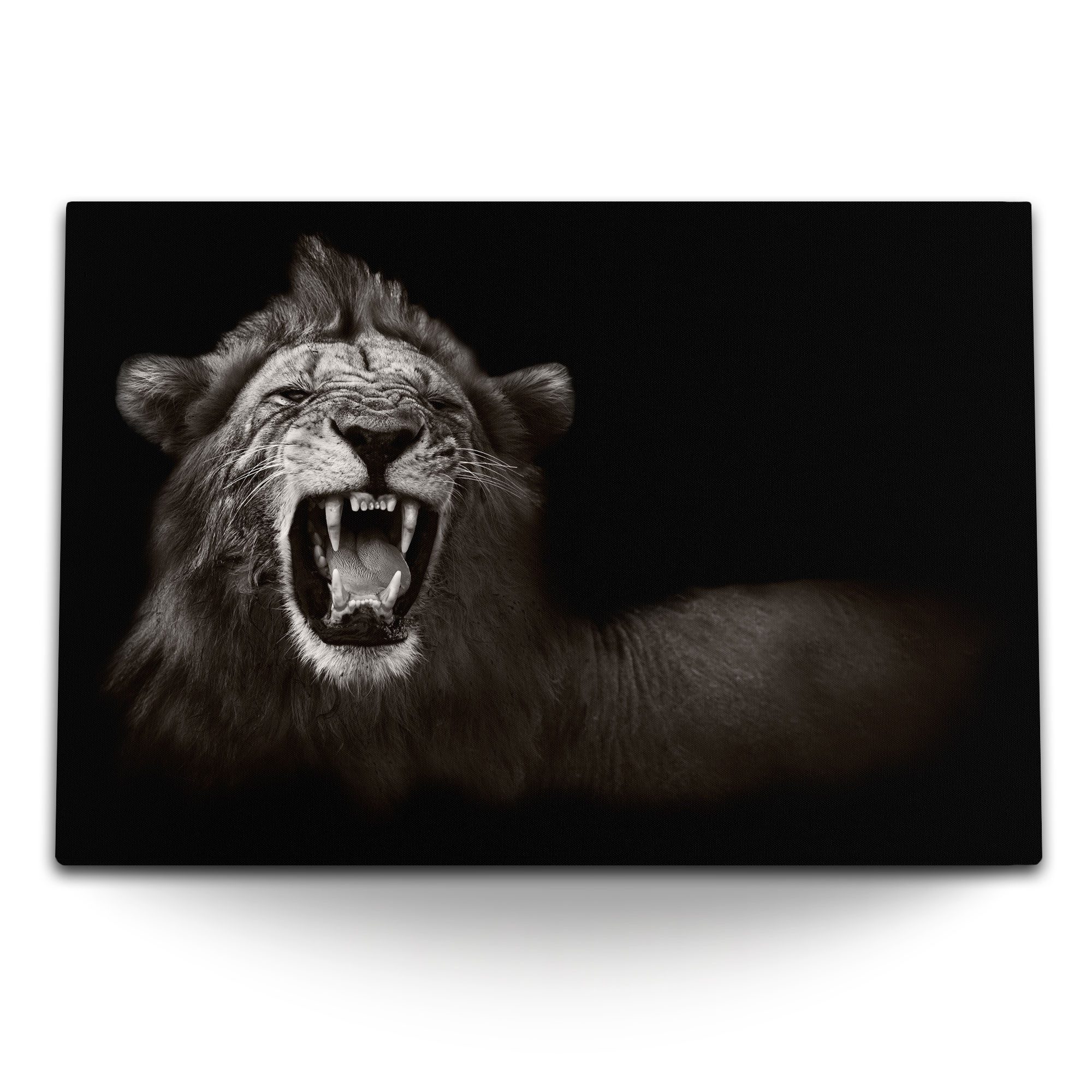 Leinwandbild 120x80cm Wandbild auf Leinwand Tierfotografie Löwe Fangzähne Raubkatze