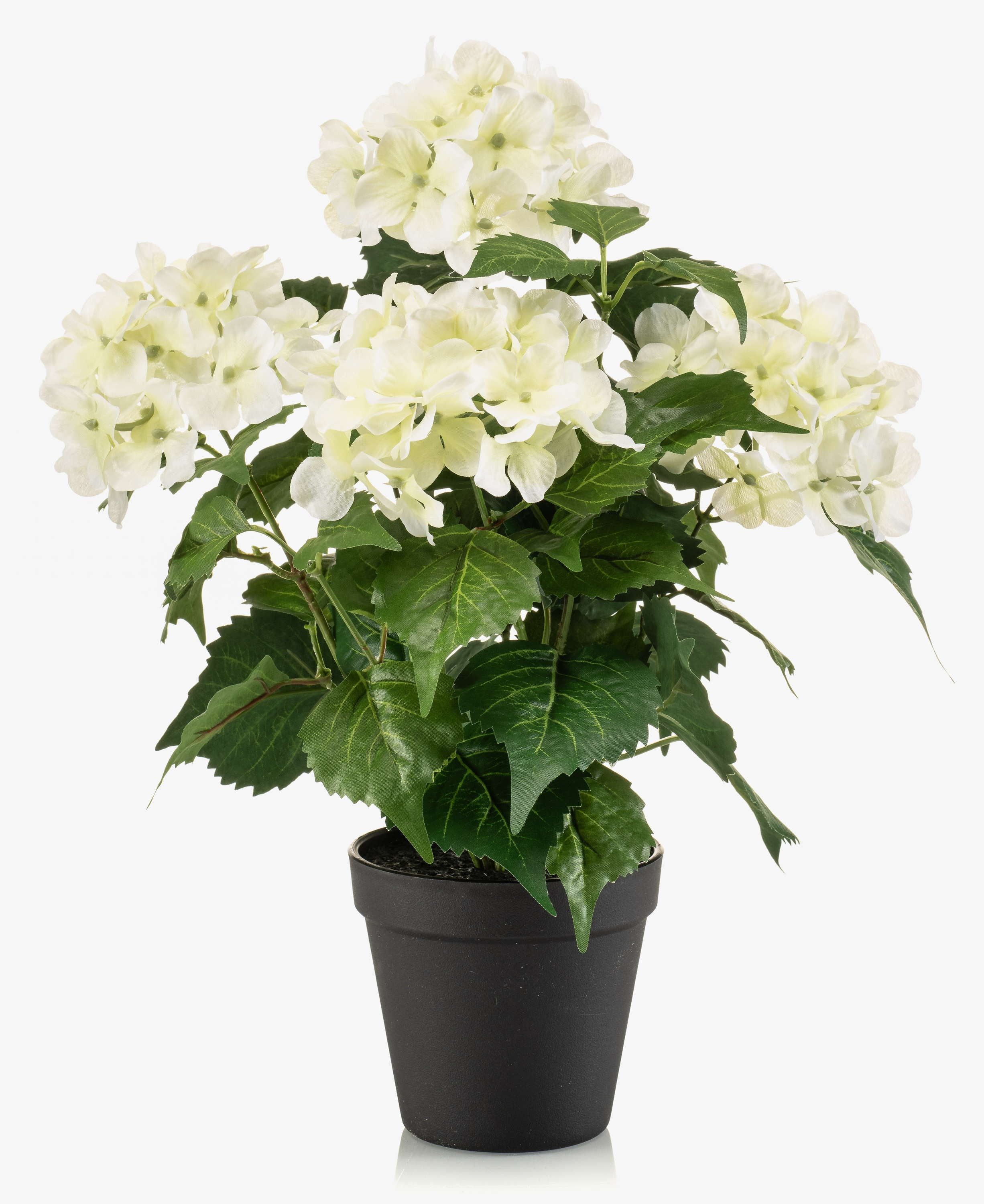 Kunstblume Hortensie DORJA im Dekotopf, weiß-grün, 40cm Hortensie, artplants, Höhe 40.0 cm