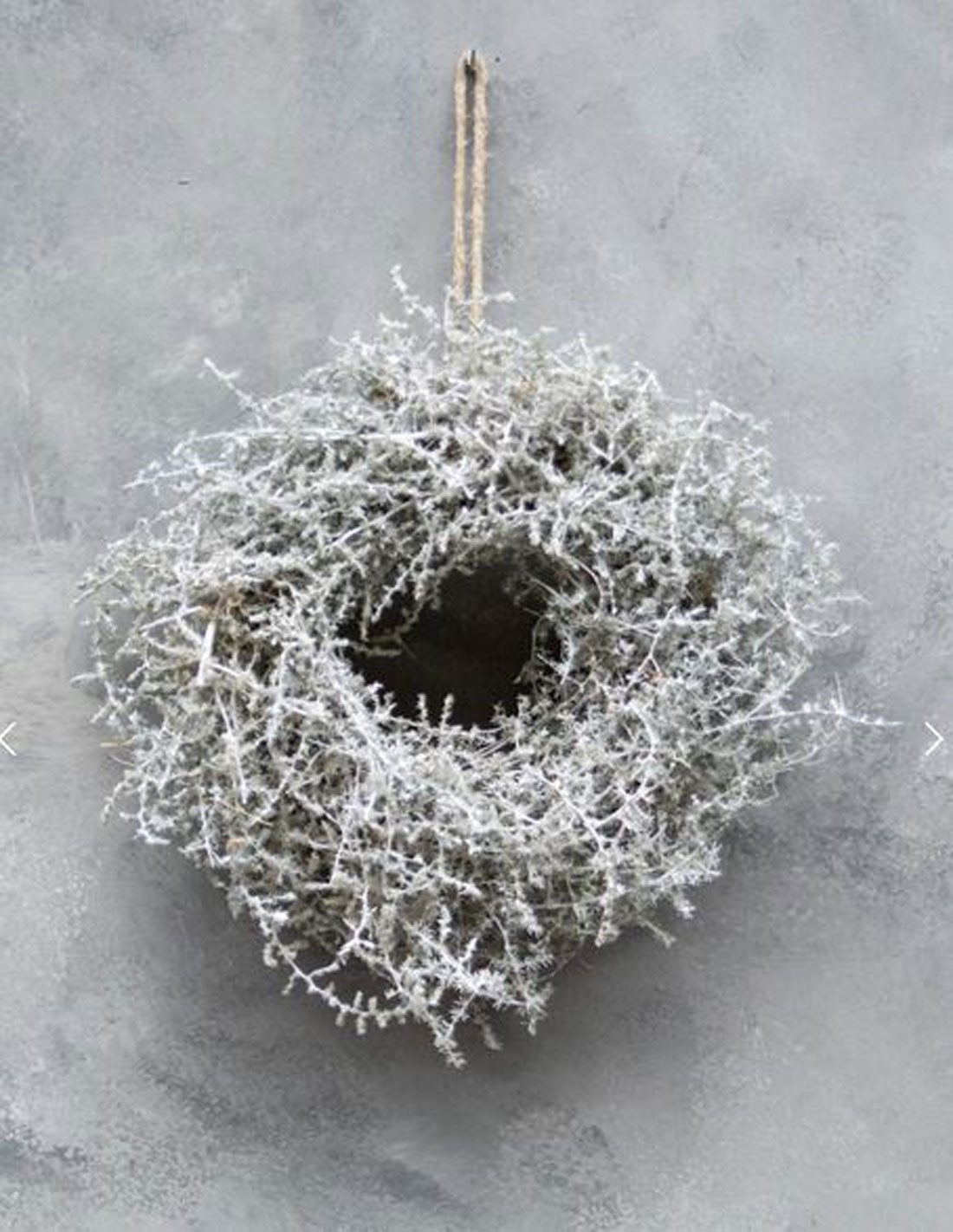 Annimuck Dekokranz Kranz Asparagus 35cm gewachst günstig online kaufen