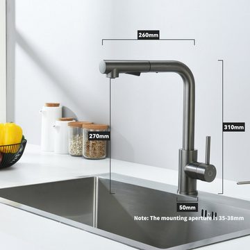 CECIPA Küchenarmatur Küchenarmatur mit Ausziehbar Brause 360°Wasserhahn Spültischarmatur