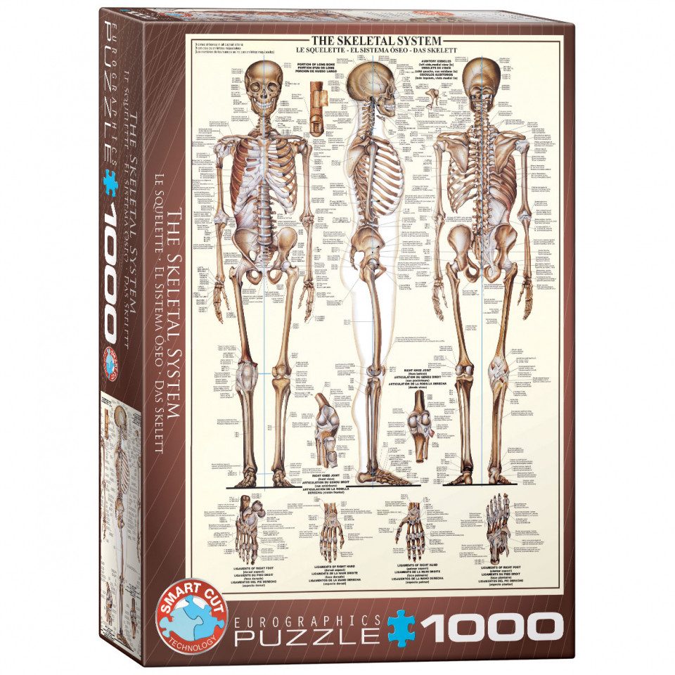 EUROGRAPHICS Puzzle, Puzzleteile