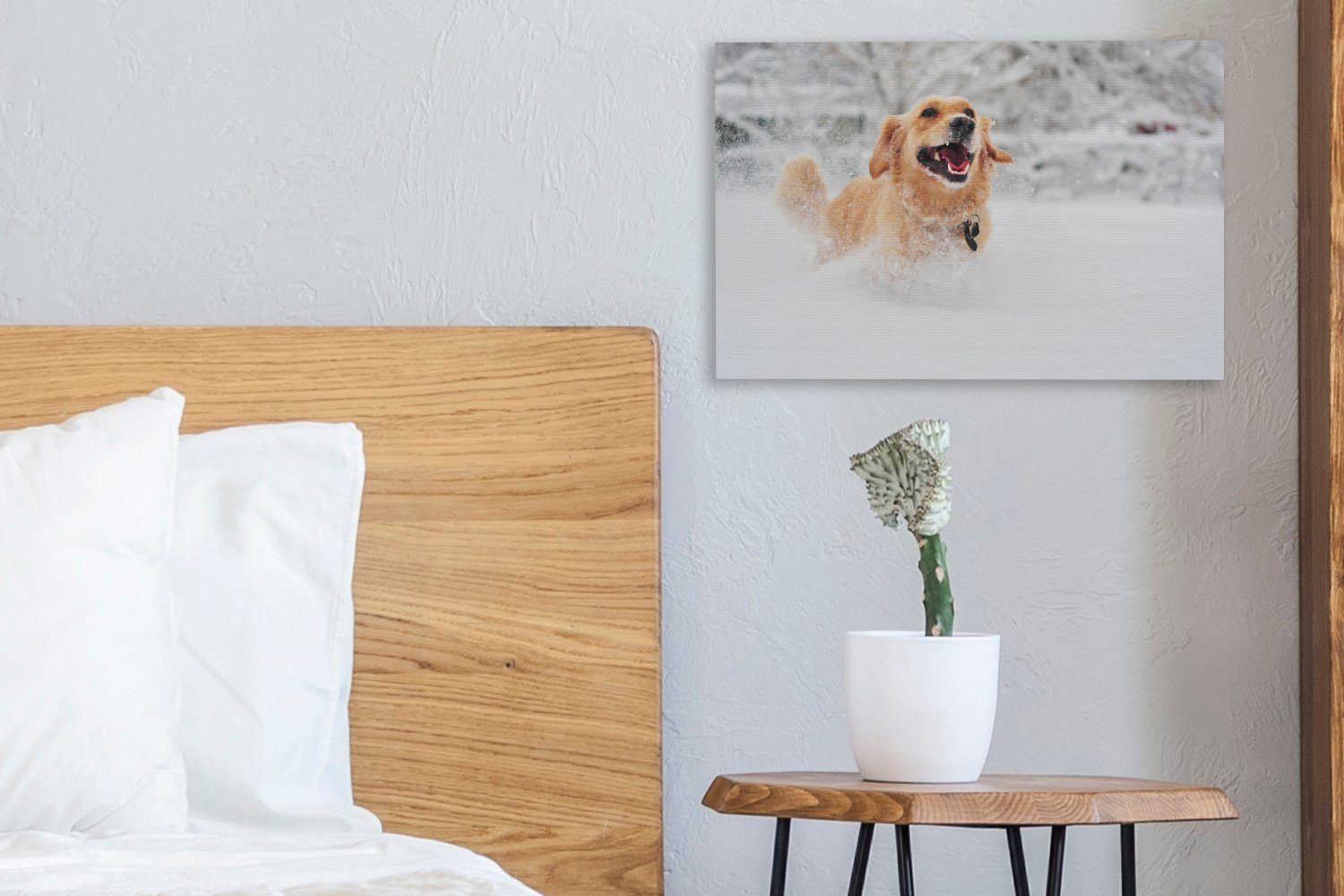 - Hund Aufhängefertig, Leinwandbild Leinwandbilder, cm Wanddeko, Wandbild 30x20 Schnee (1 - Winter, St), OneMillionCanvasses®