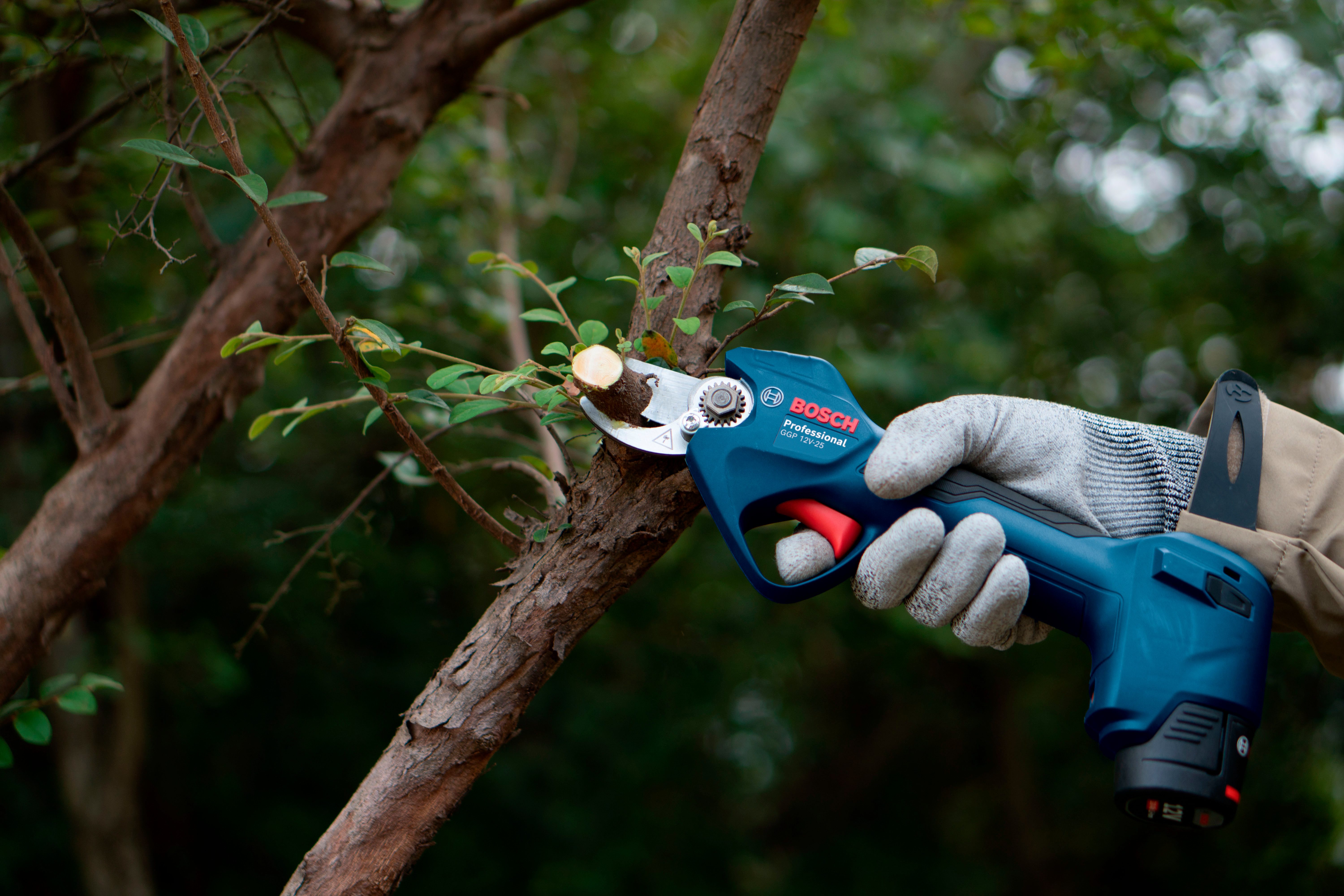 Bosch Professional Akku-Astschere »GGP 12V-25«, (BxHxL: 14x8,5x34 cm), ohne günstig online kaufen
