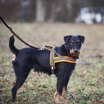 HEIM Hunde-Geschirr Hundegeschirr Signal