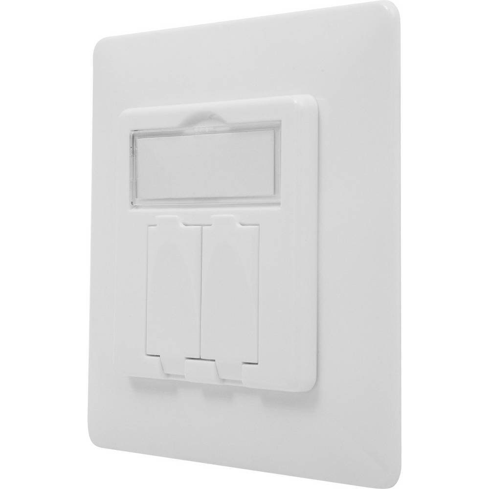 Digitus Professioanl Leerdose für Keystone Module, 80x80 Netzwerk-Adapter