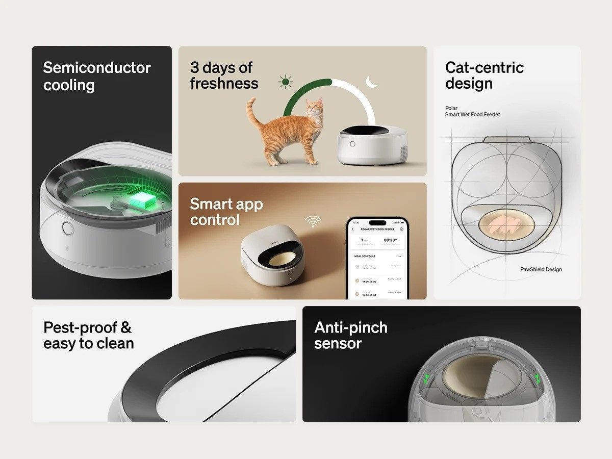 Petlibro Katzen-Futterautomat, Weiß