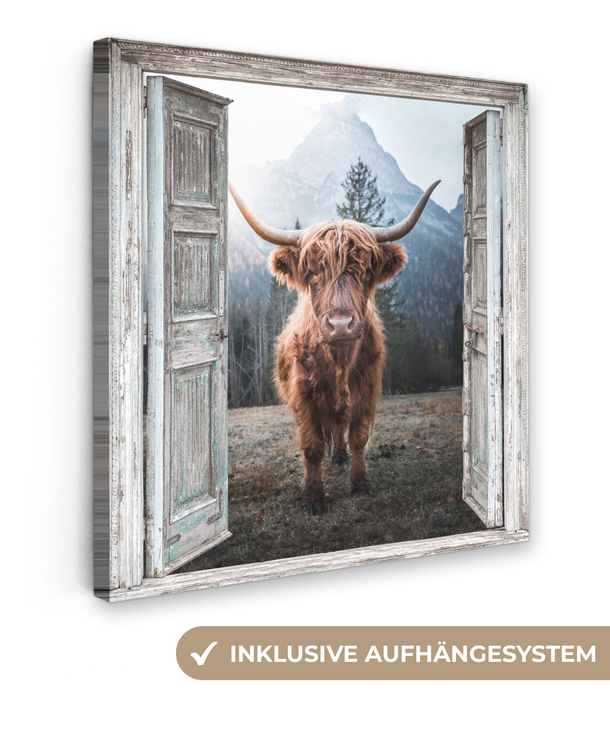 OneMillionCanvasses® Leinwandbild Schottischer Highlander - Kuh - Ländlich günstig online kaufen
