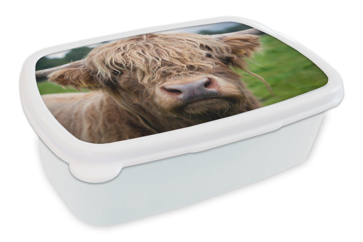 MuchoWow Lunchbox Schottische Highlander-Kuh - Landschaft - Nahaufnahme, Kunststoff, (2-tlg), Brotbox für Kinder und Erwachsene, Brotdose, für Jungs und Mädchen weiß