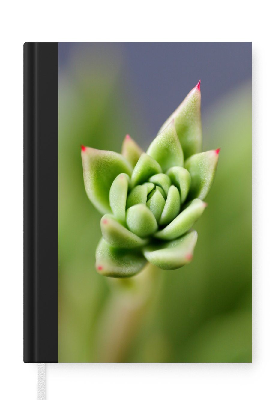 MuchoWow Notizbuch Eine grüne botanische Sukkulente mit roten Spitzen in der Blütezeit, Journal, Merkzettel, Tagebuch, Notizheft, A5, 98 Seiten, Haushaltsbuch