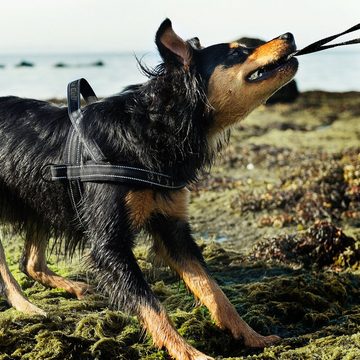 HURTTA Hunde-Geschirr Norweger Geschirr schwarz