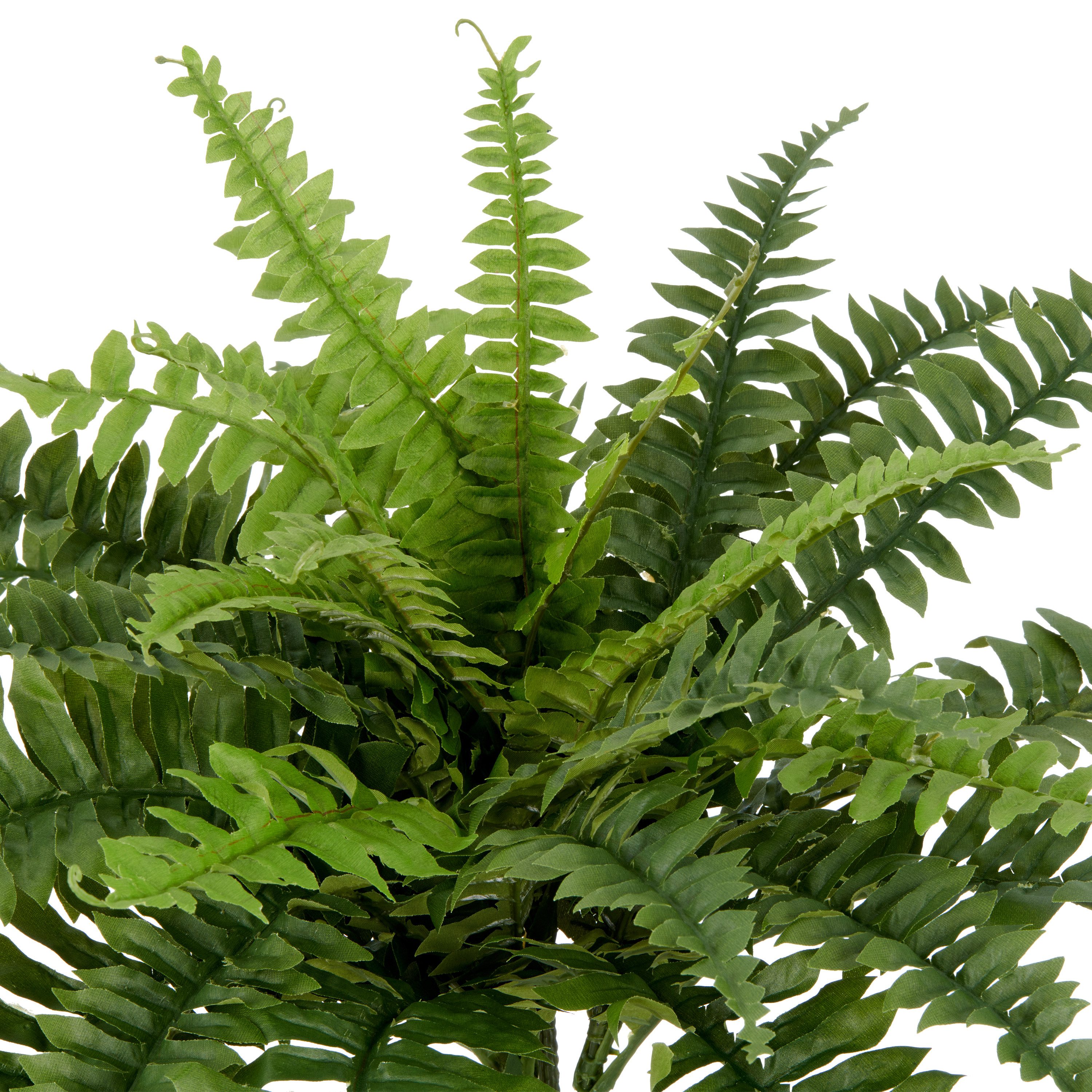 Kunstpflanze Bostonfarn ohne Topf, Creativ green, Höhe 50 cm, mit zahlreichen Farnwedeln – Bild 2 von 2
