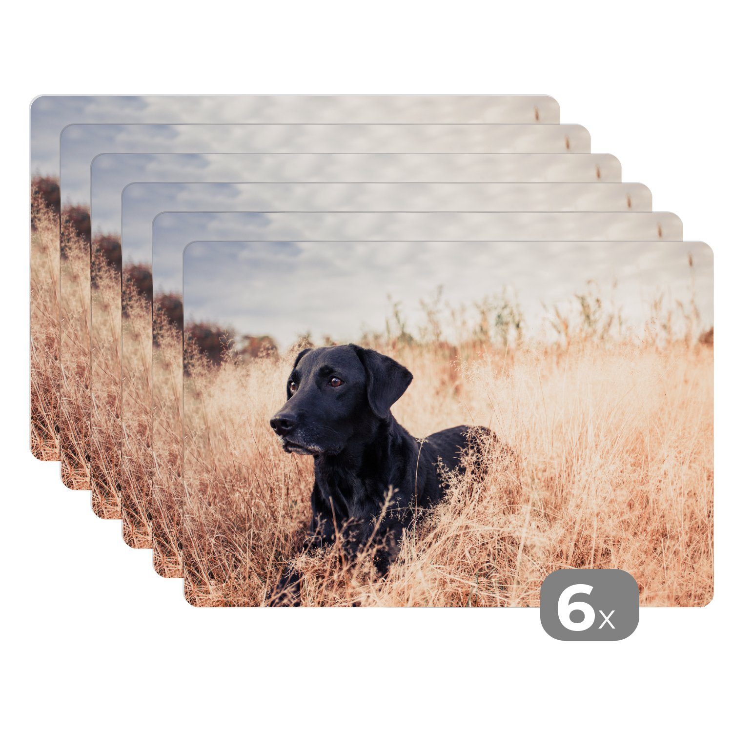 Platzset, Ein Labrador Retriever liegt im hohen Gras, MuchoWow, (6-St), Platzset, Platzdecken, Platzmatte, Tischmatten, Schmutzabweisend