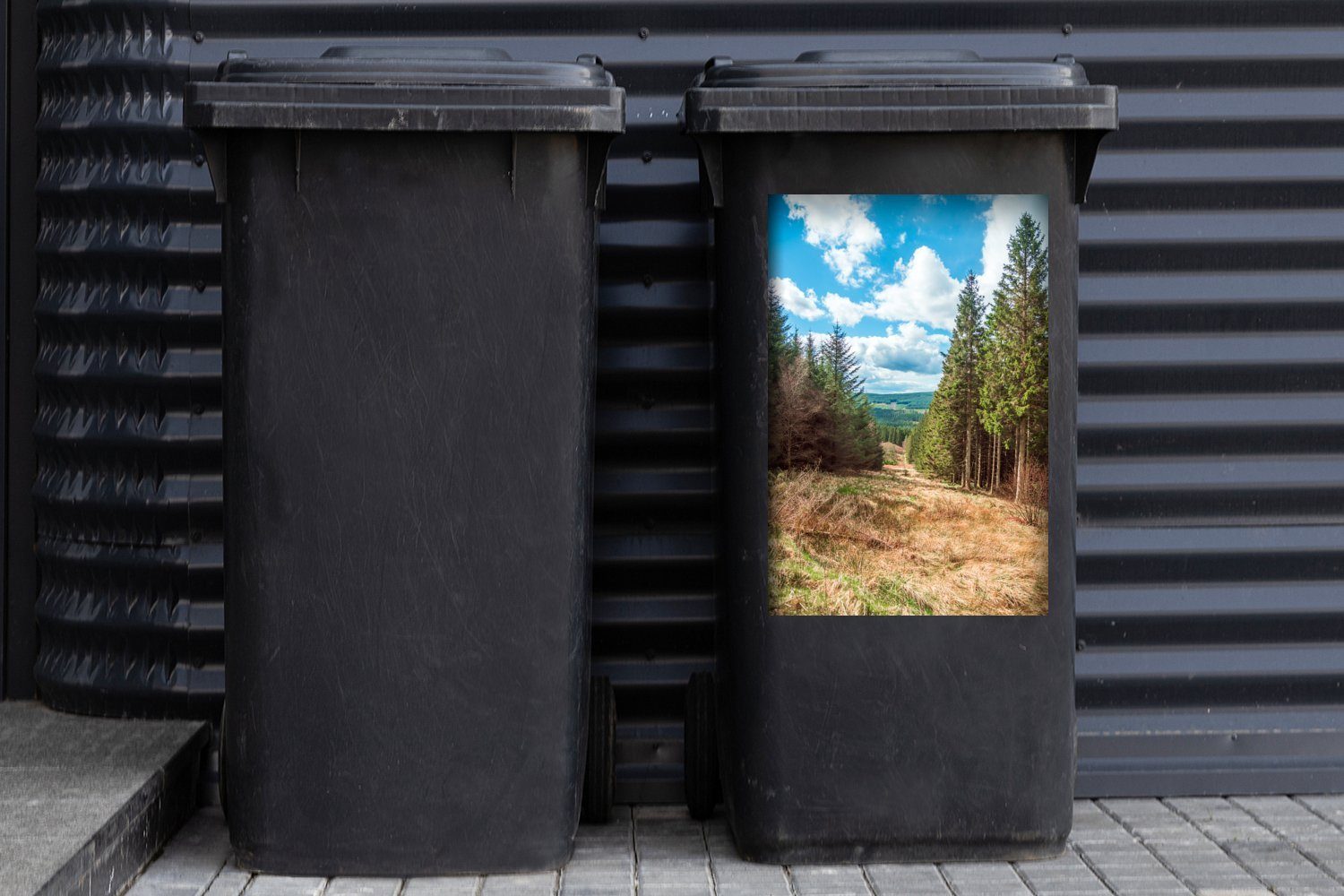 Mülltonne, England St), Northumberland-Nationalpark Container, (1 in im Kiefernwälder MuchoWow Mülleimer-aufkleber, Sticker, Wandsticker Abfalbehälter