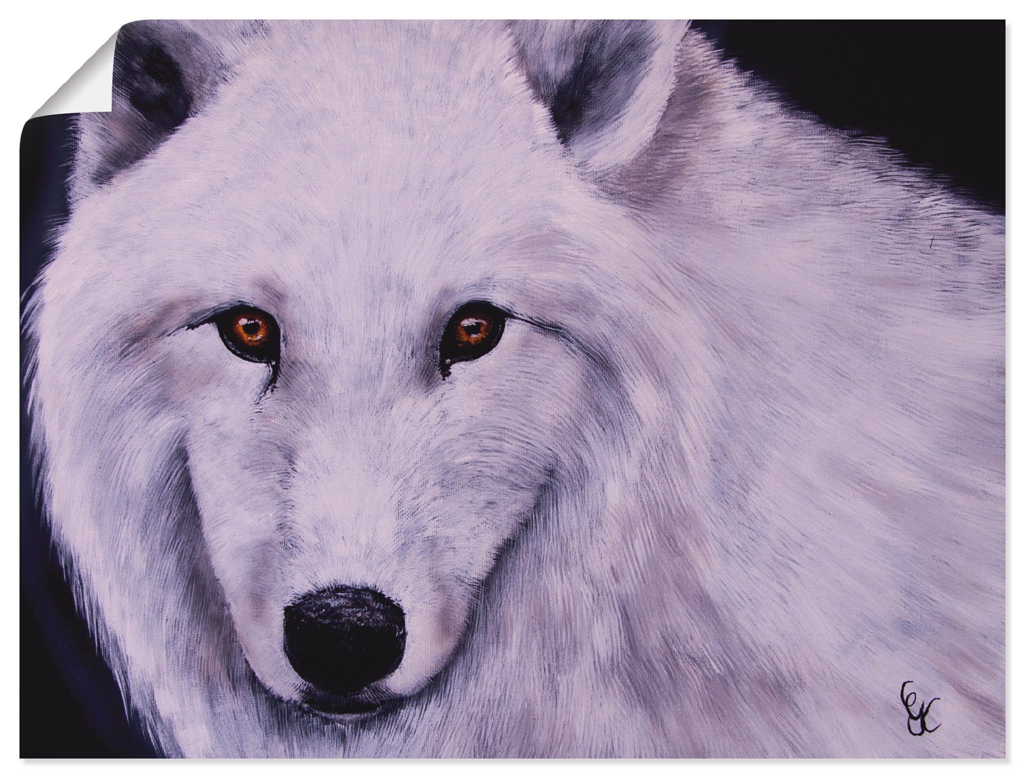 Artland Wandbild Weißer Wolf, Wildtiere (1 St), als Alubild, Leinwandbild, Wandaufkleber oder Poster in versch. Größen