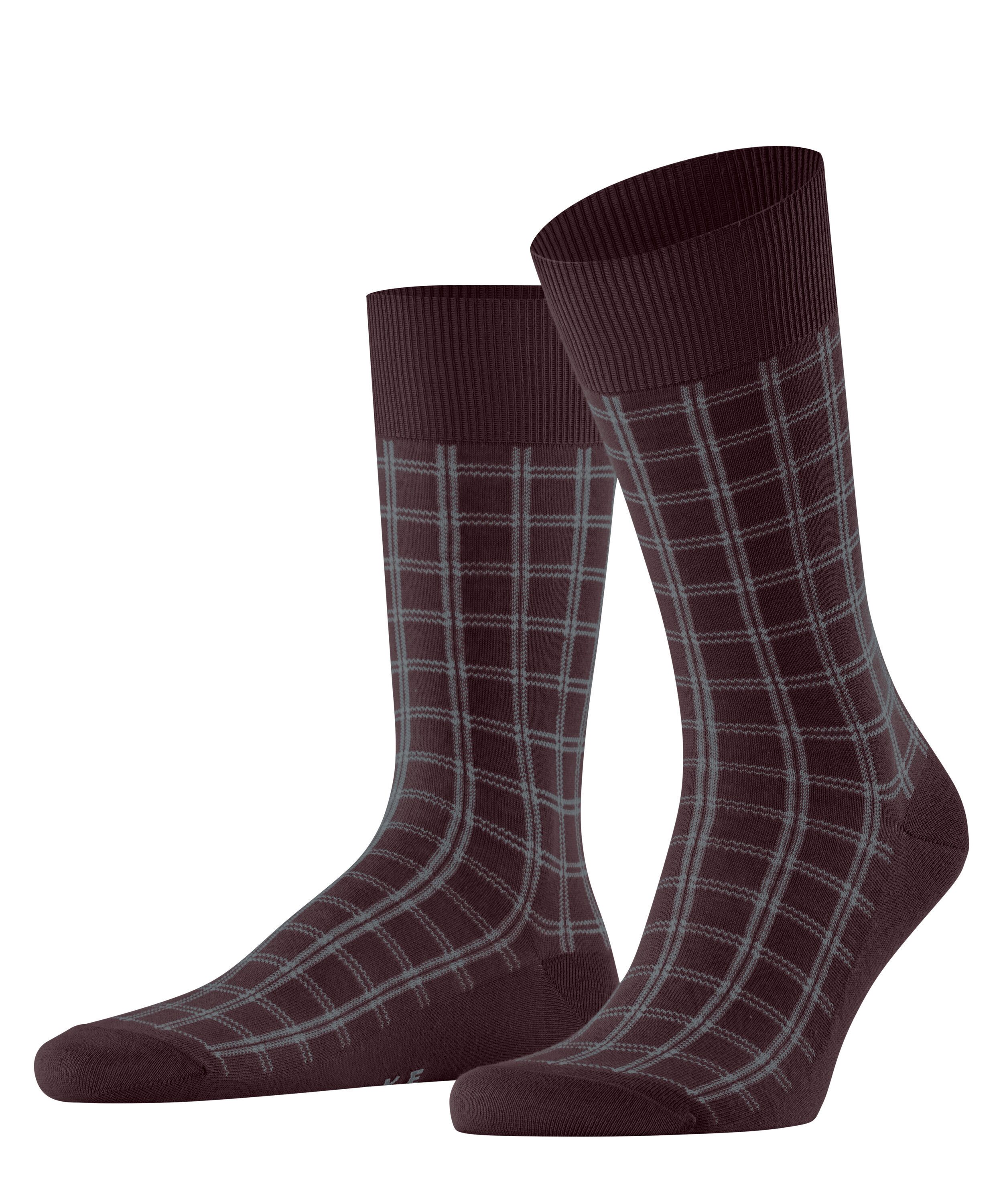barolo (8596)