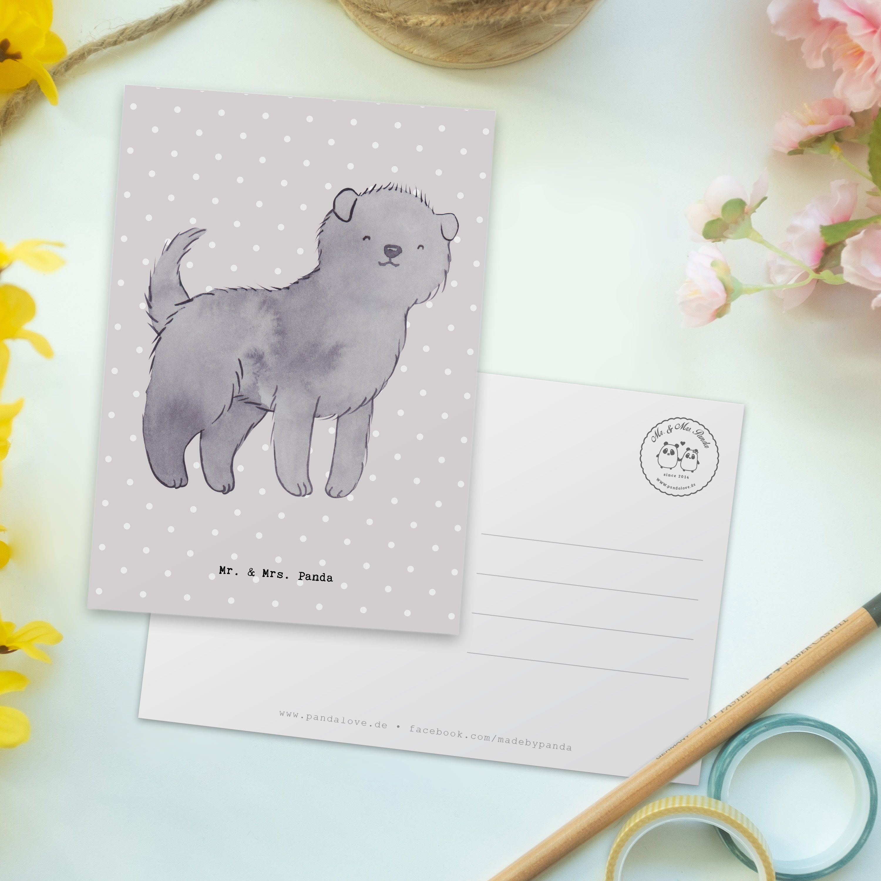 Mr. Moment - Geschenk, Grau Panda Affenpincher Pastell Postkarte - Dankeskarte, Mrs. & Hunderass
