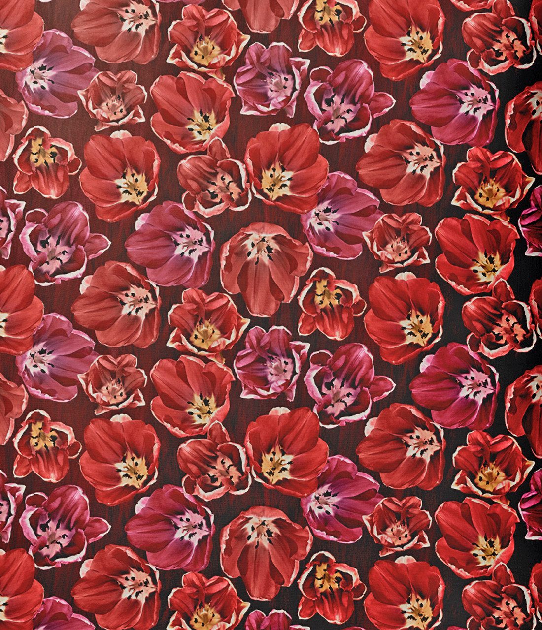 JACK Bettwäsche 135x200cm Blume Rot Pink, Biber, 2 teilig, tolles dezent Blumendesign mit Reißverschluss