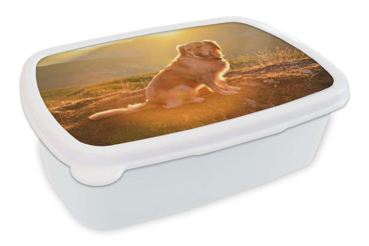 MuchoWow Lunchbox Sonnenstrahlen glänzen über einem Golden Retriever, Kunststoff, (2-tlg), Brotbox für Kinder und Erwachsene, Brotdose, für Jungs und Mädchen weiß