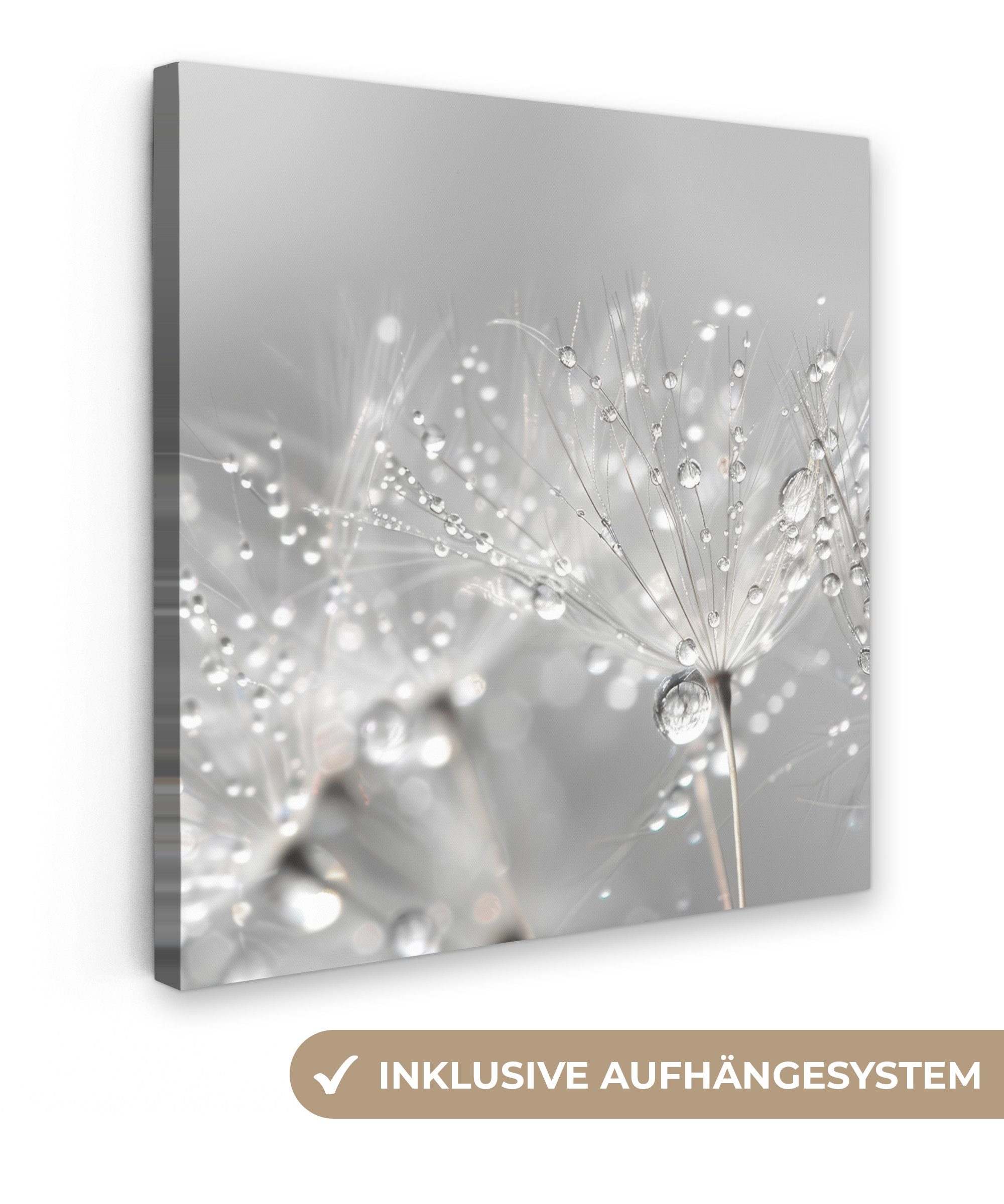 OneMillionCanvasses® Leinwandbild Löwenzahn - Wassertropfen - Stilleben - Modern, Fotodruck (1 St), Wandbild, Deko Schlafzimmer Wohnzimmer Flur 20x20 cm