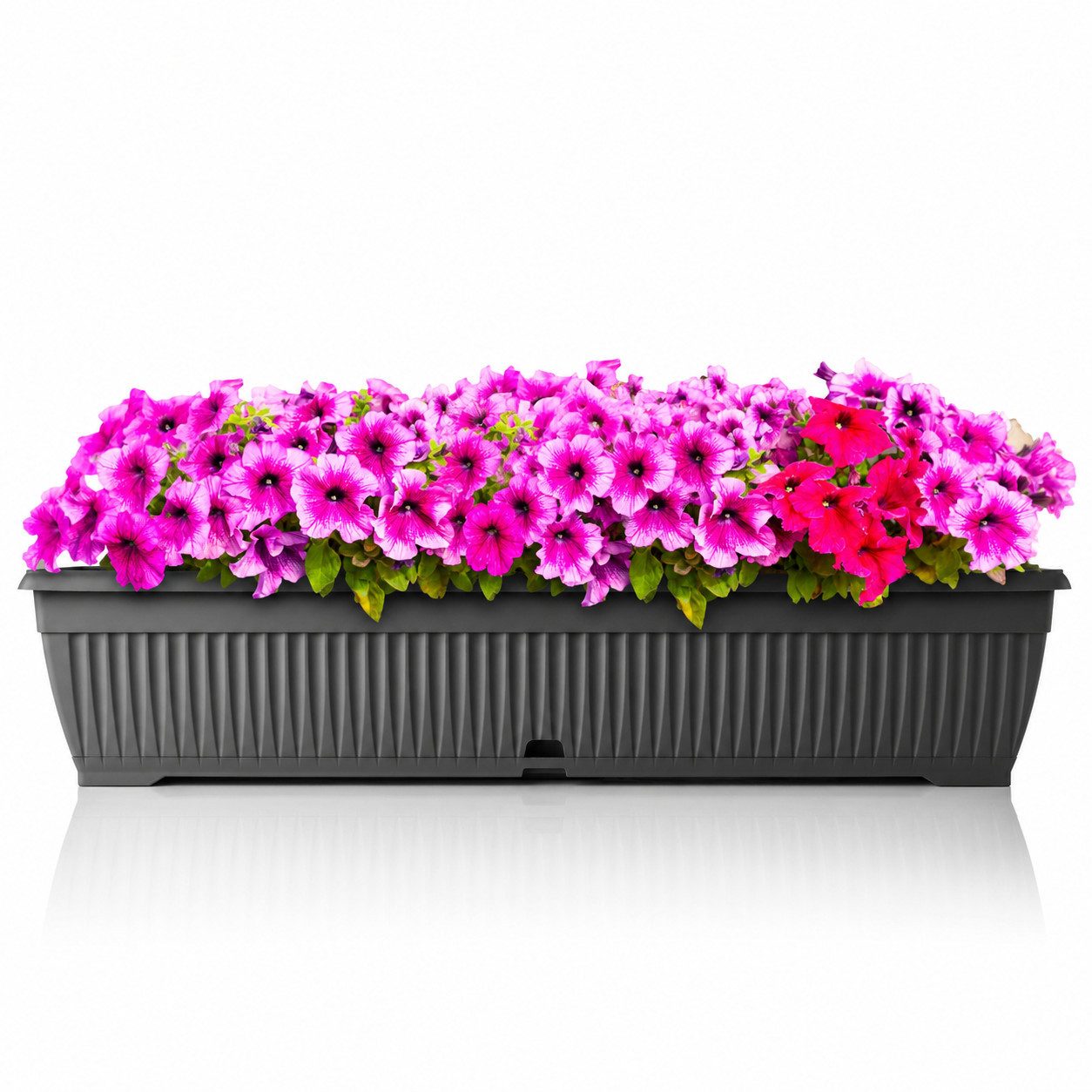 BigDean Blumenkasten Pflanzkasten 80cm mit Untersetzer & Wasserspeicher für Balkon (1-er, 1 St., Set), Bruchsicherer Kunststoff, Ganzjährig wetterfest, Made in Europe