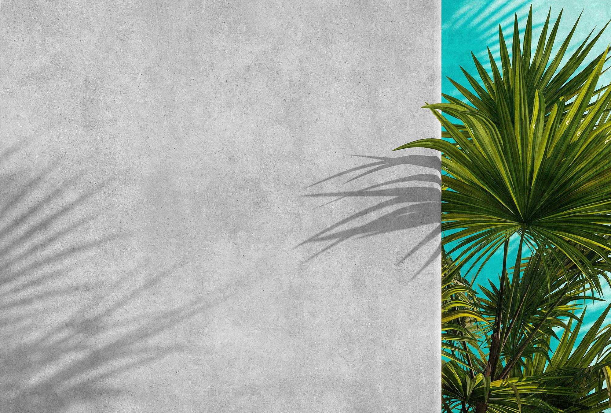 Fototapete Walls by Patel Tunis