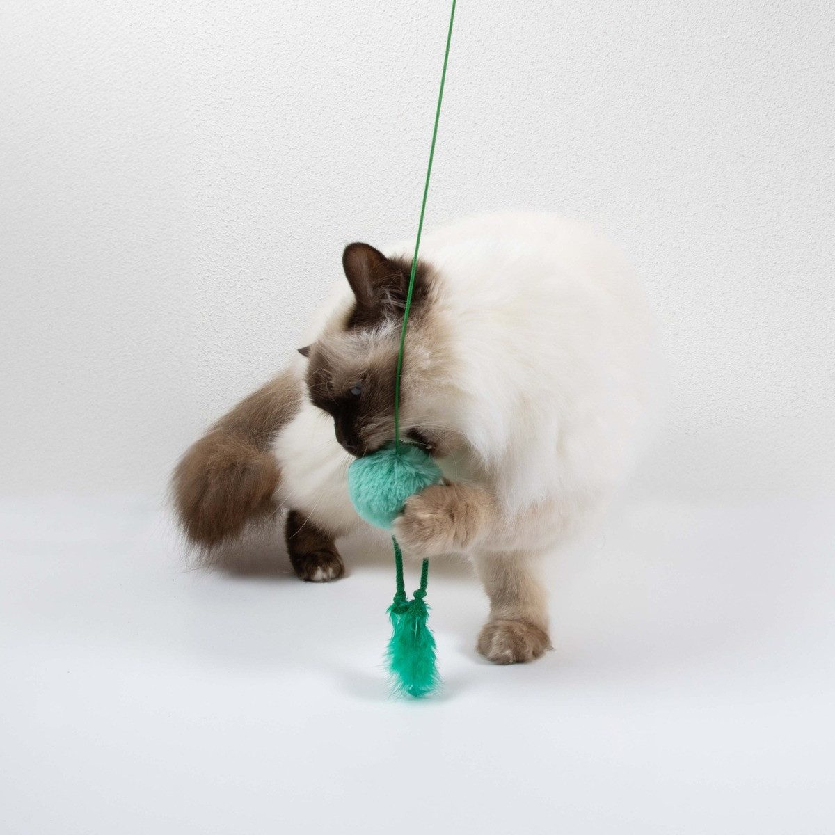 Coockoo Katzenangel Katzenangel Jumping Jumpy