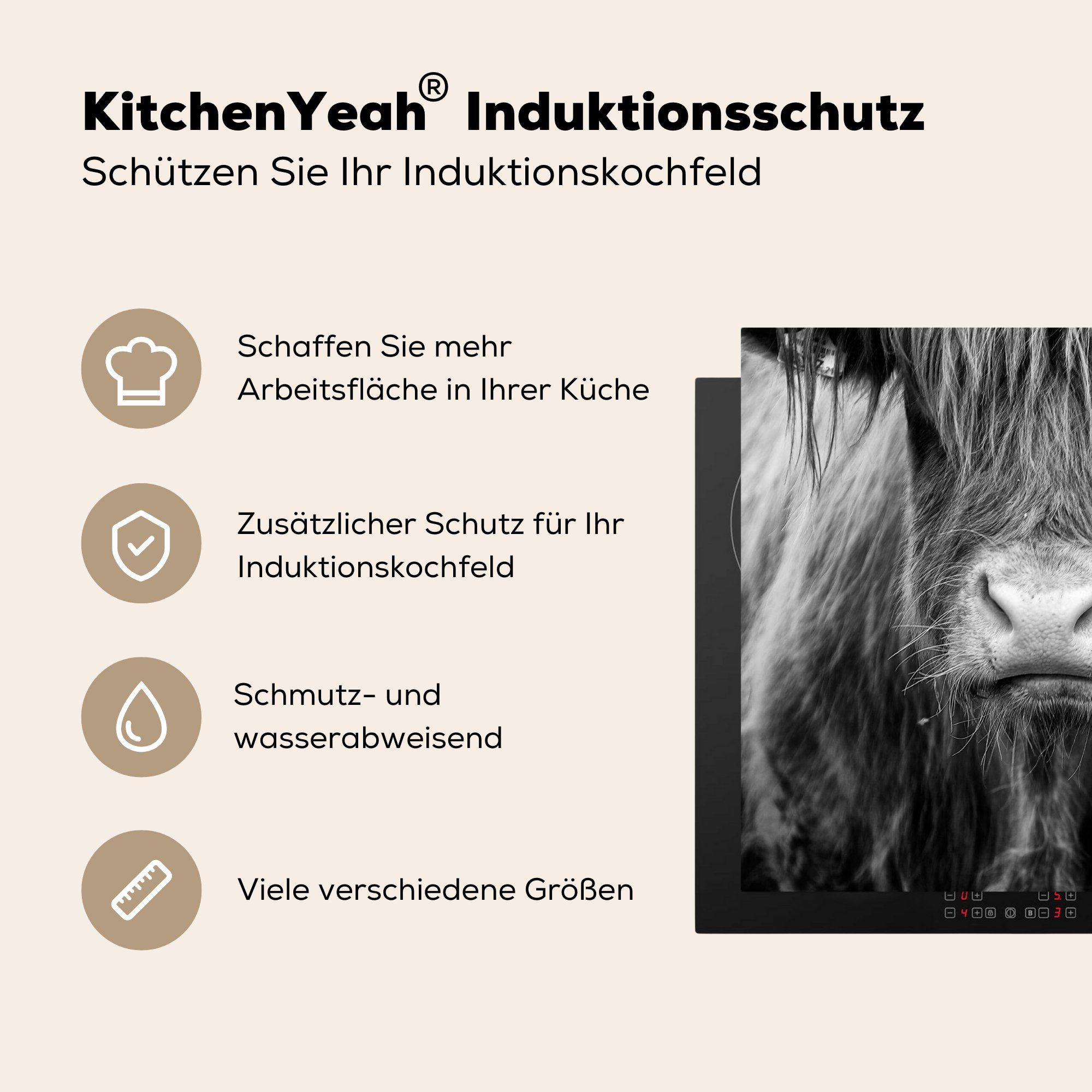 MuchoWow Herdblende-/Abdeckplatte Schottischer Highlander Vinyl, Induktionsschutz, cm, 59x51 (1 Schwarz tlg), Ceranfeldabdeckung Weiß - - - Tiere, - Kuh Induktionskochfeld