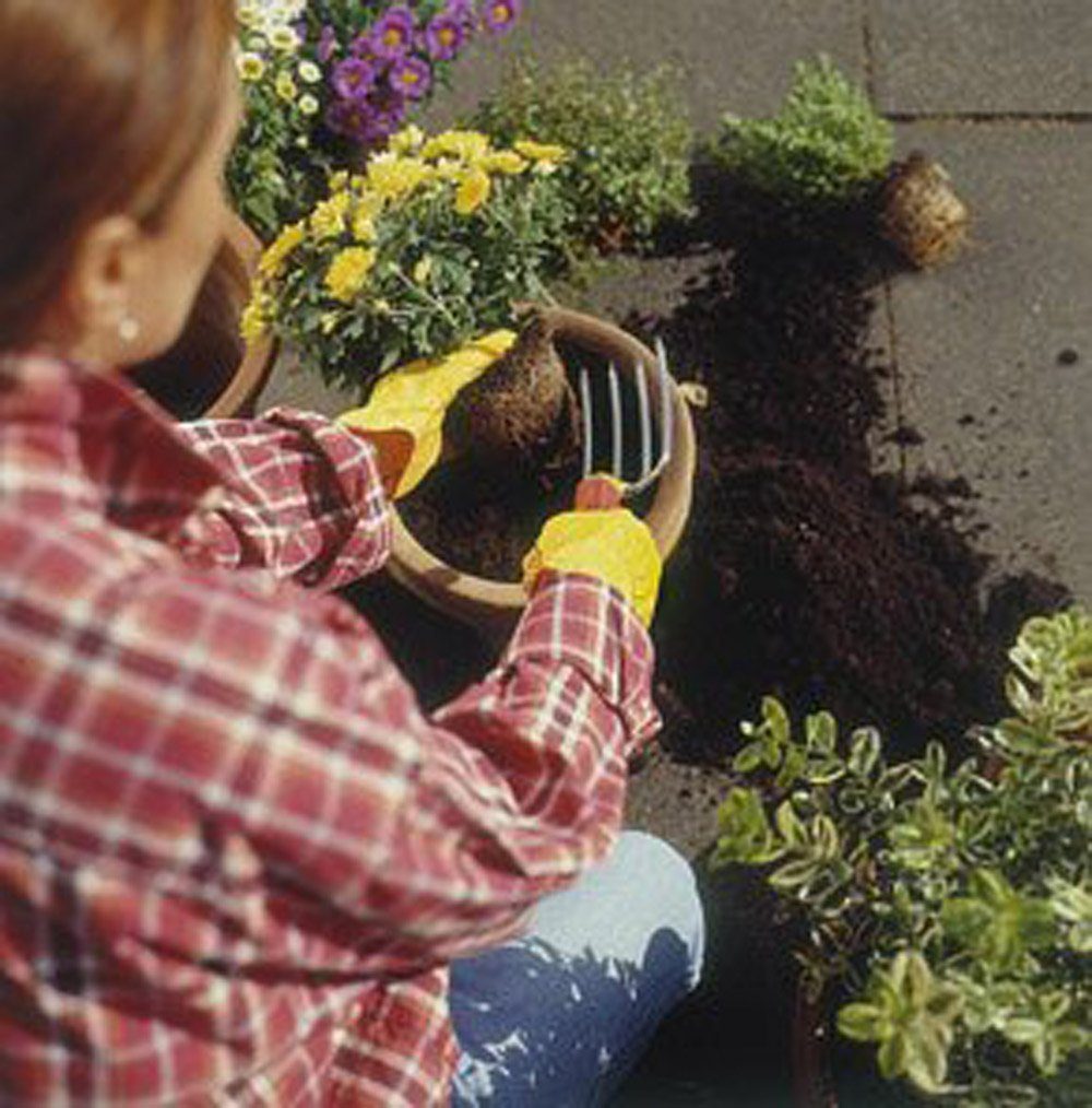 Thumbnail - Gartenpflege-Set WOLF-Garten Classic Mini-Set 3 tlg. P 235 Blumengabe Automatikpflanzer Unkrautstecher