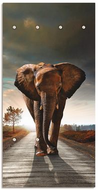Artland Garderobenleiste Ein Elefant läuft auf der Straße, teilmontiert