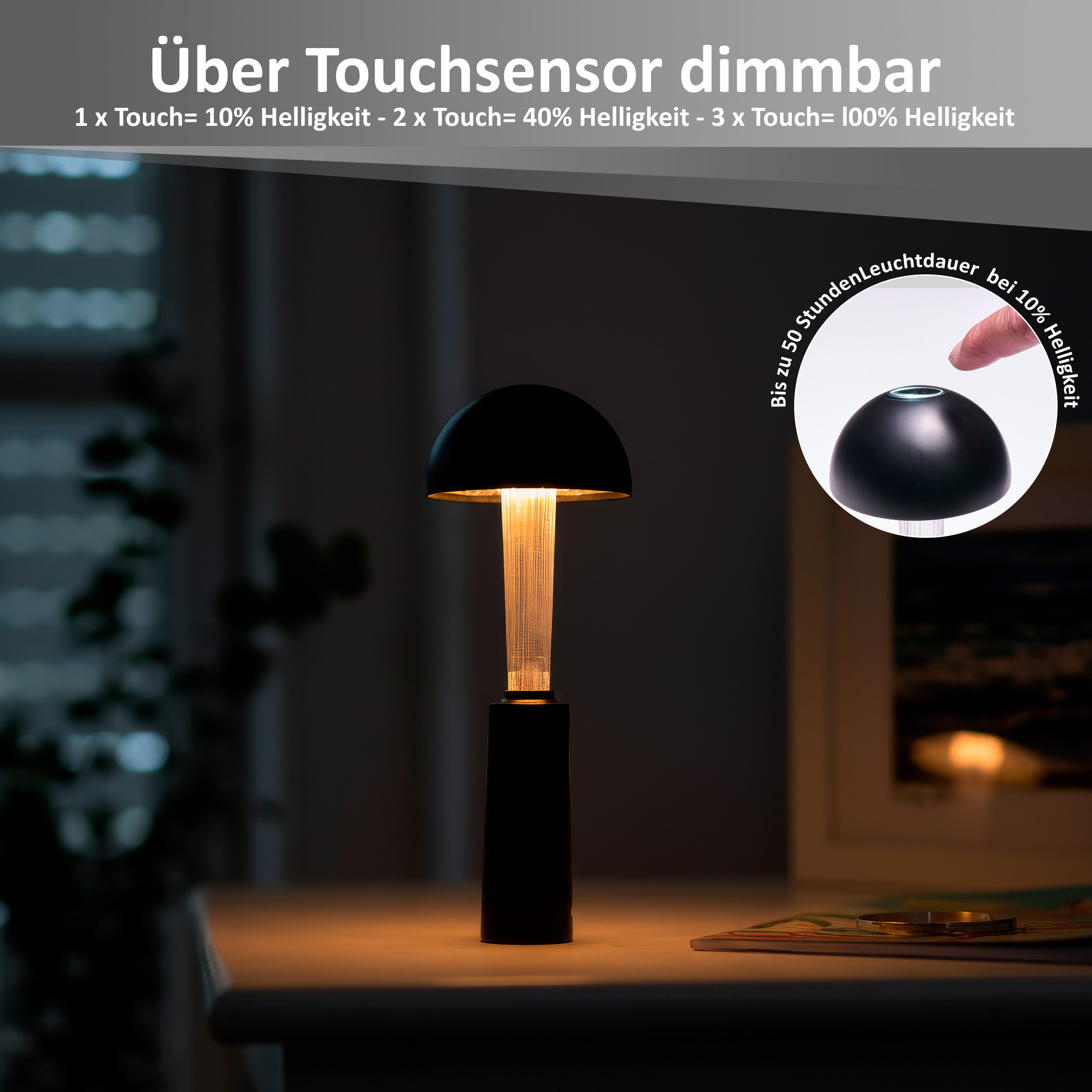 Northpoint LED Pendelleuchte LED Akku Pendelleuchte 2in1 Tischleuchte Touch Dimmbar – Bild 5 von 5