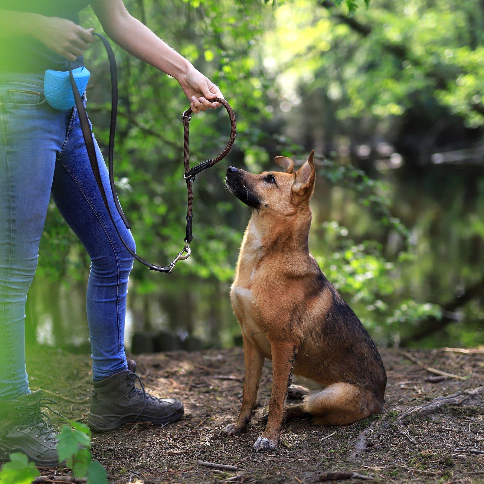 lionto Hunde-Halsband mit Zugstopp, Retrieverhalsband, Nylon, verstellbar & leicht mit Stoppring