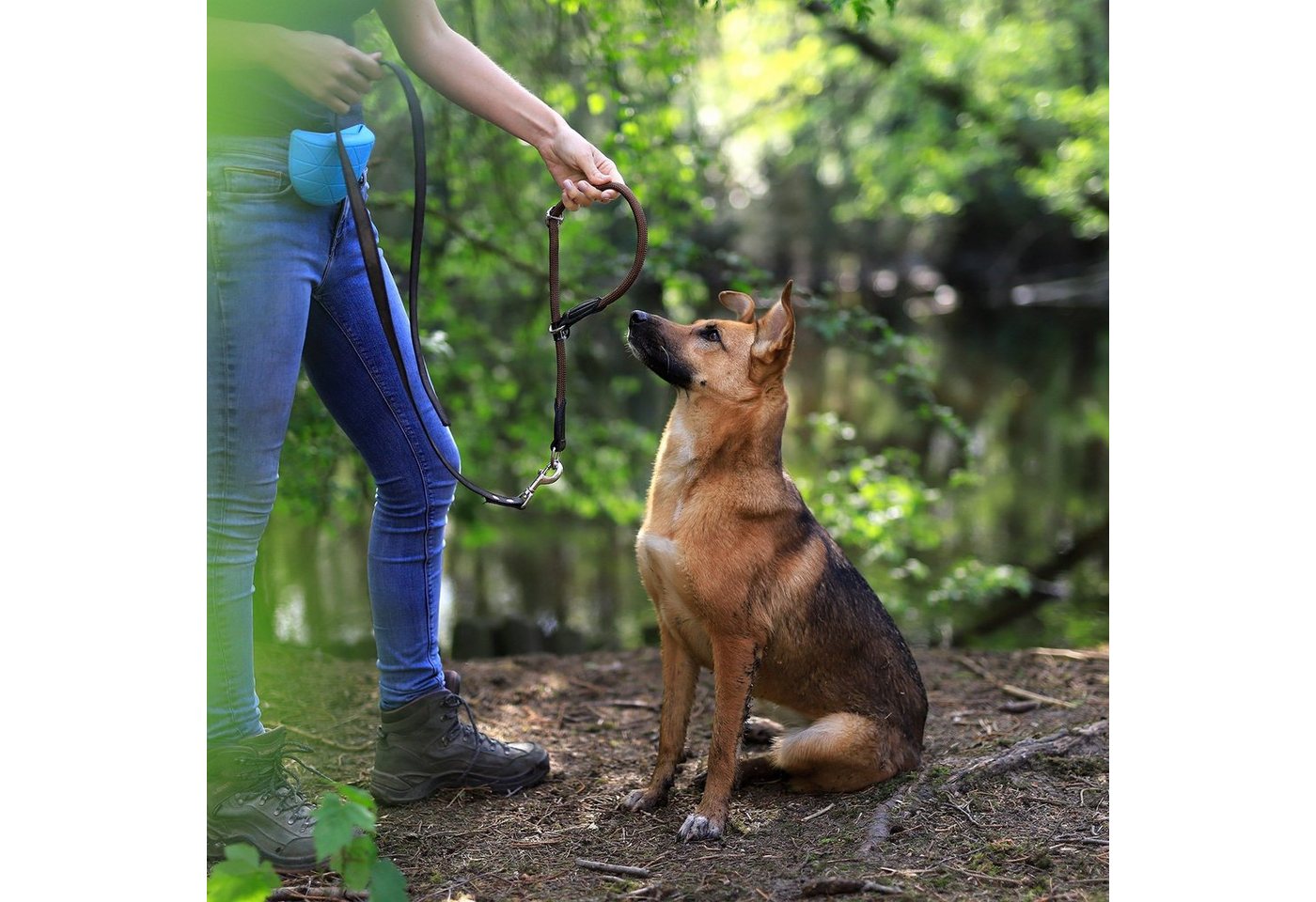 Thumbnail - lionto Hunde-Halsband Hundehalsband mit Zugstopp, Retrieverhalsband, Nylon, 40 cm, dunkelbraun